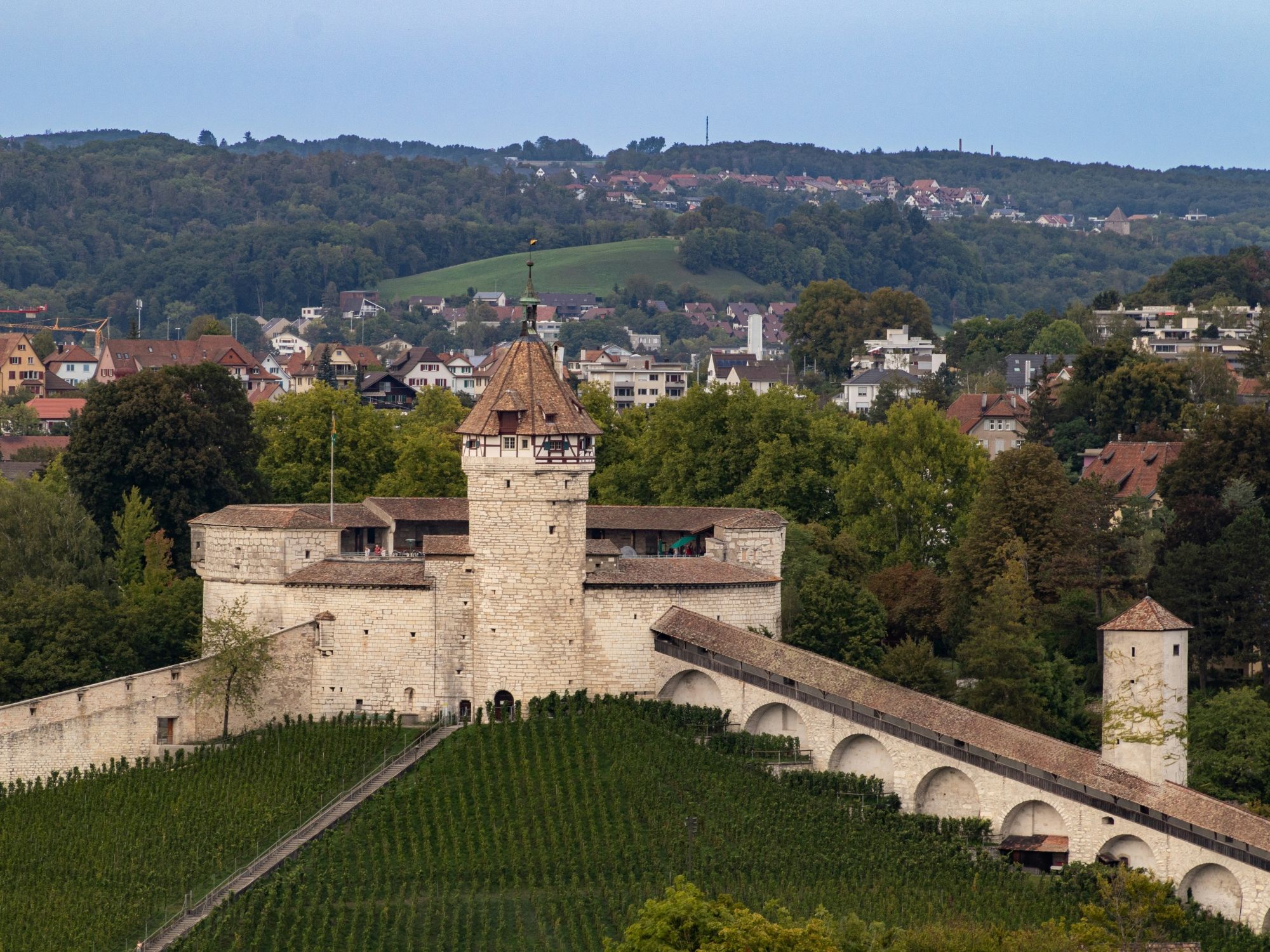 noel-wangler-1v-nkYLPqcY-unsplash