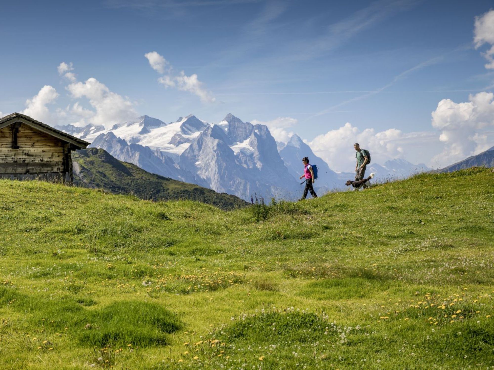 _b193729_de.davidbirri_xlthmb