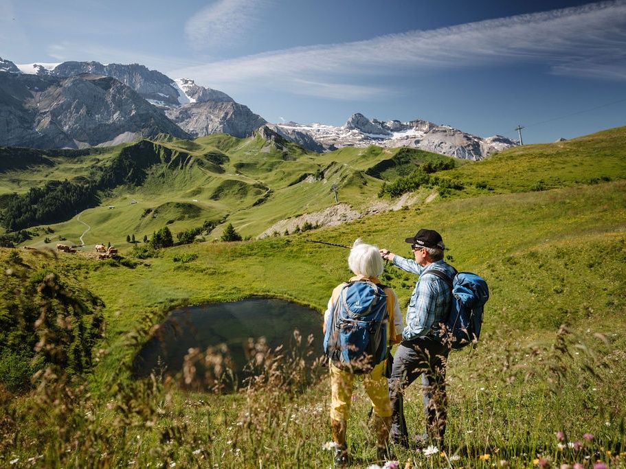 Alpenbloemenweg Adelboden (2)