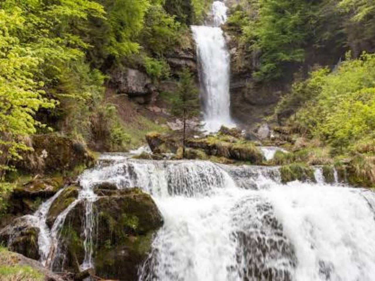 aterizare forțată tururi magice elvețiene (5)