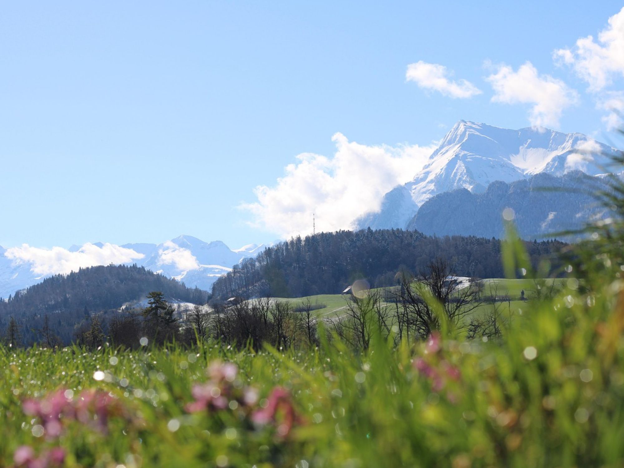 parku i natyrës gantrisch-pikabay