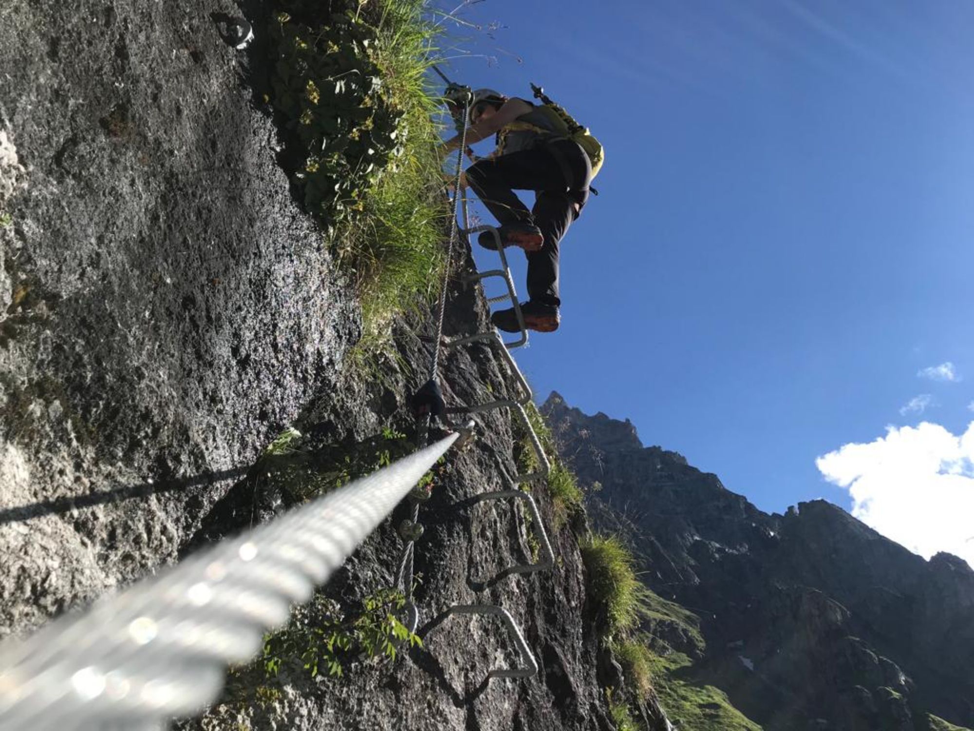 d3380f26-c60f-4f3e-9c7a-0d7076a336fd