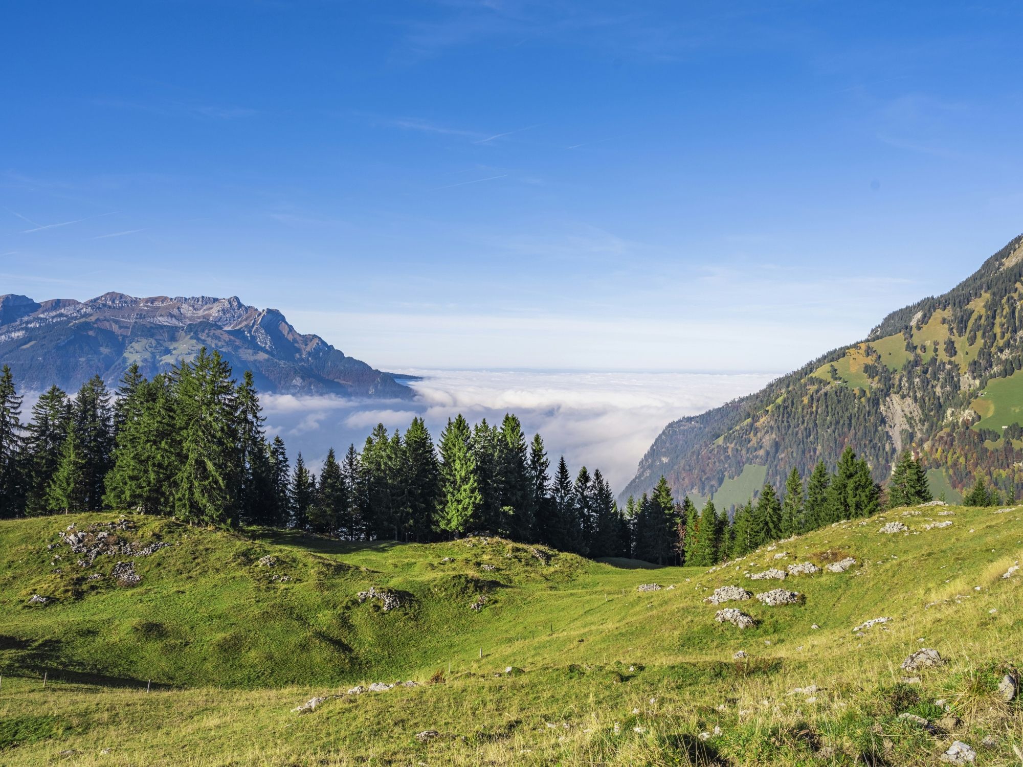 01 laurin-vontobel-mXuqg5CYuU8-unsplash