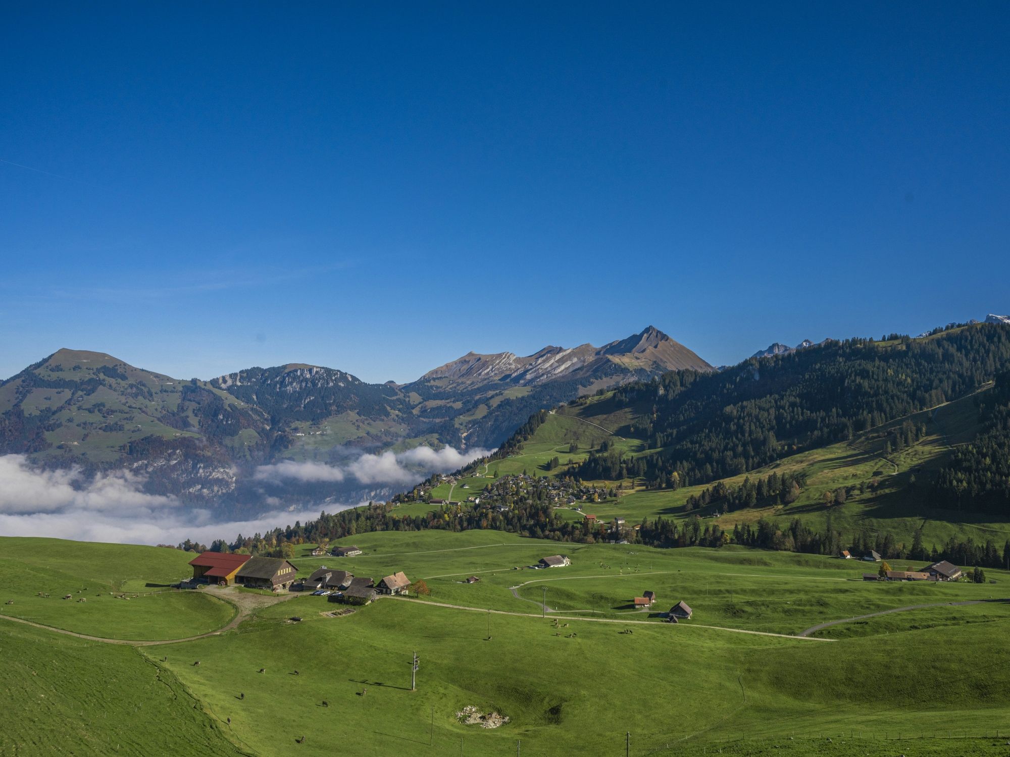 02 Dallenwil1-unsplash