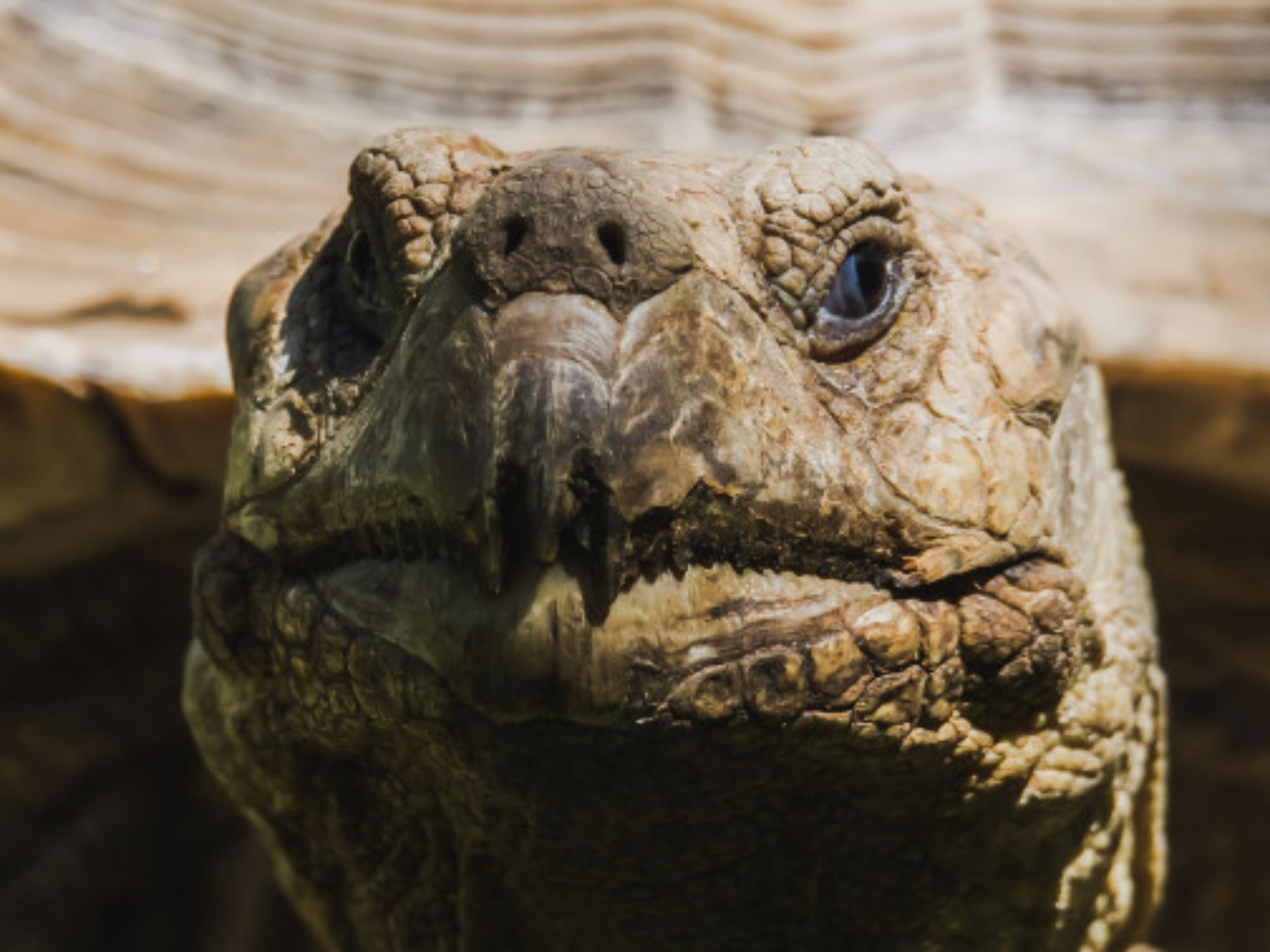 imagem-destacada-601960748068a670393201-cortado600-400-dpl-602693f59c17a