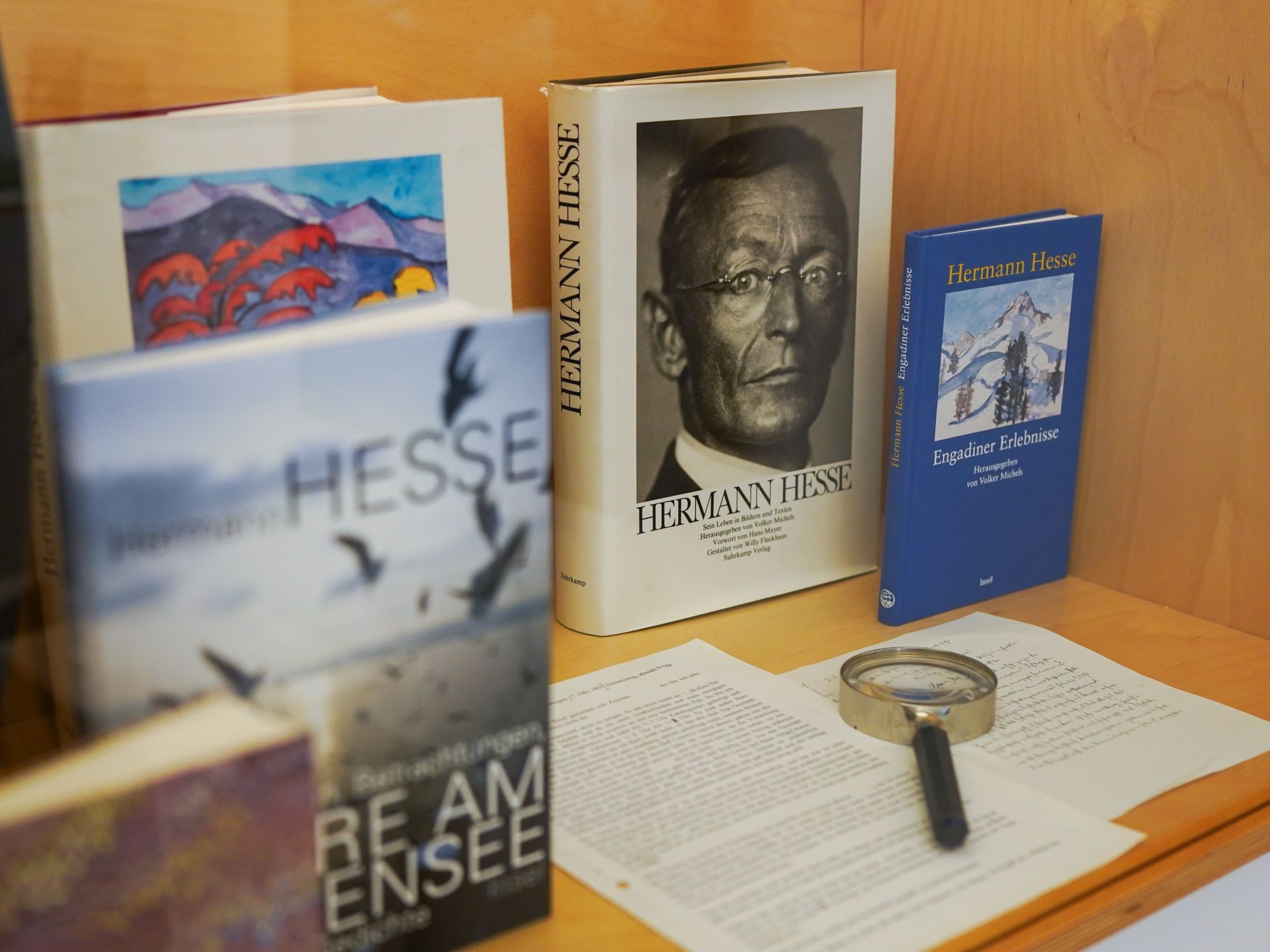 Musée Hermann Hesse, détail de l_exposition Où il y a Hermann Hesse, il y a Volker Michels © Musée Hermann Hesse Montagnola