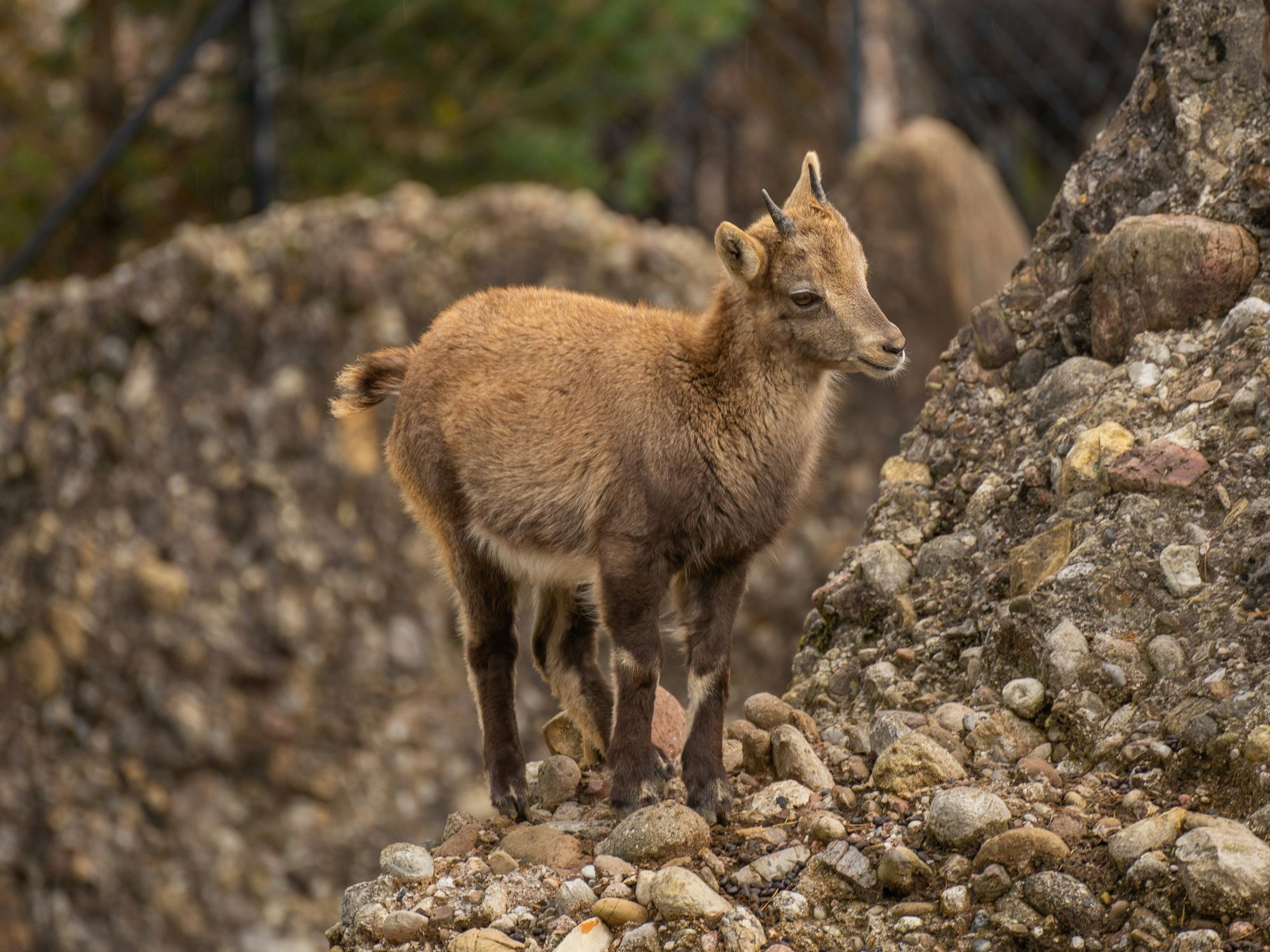 laurin-vontobel-qnnPQNOw3d0-unsplash