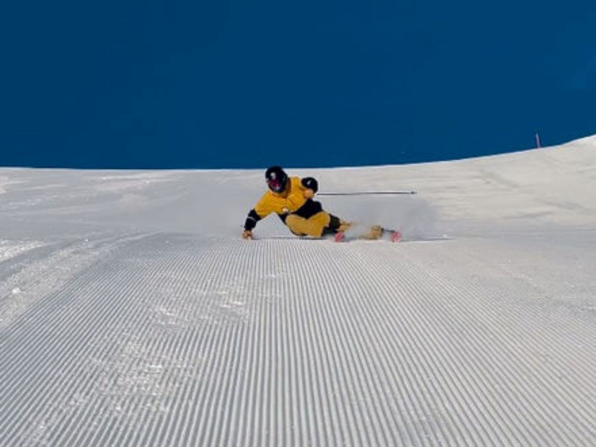 e768ba_dce00923039e4b10bd8912244c8c1c77~mv2