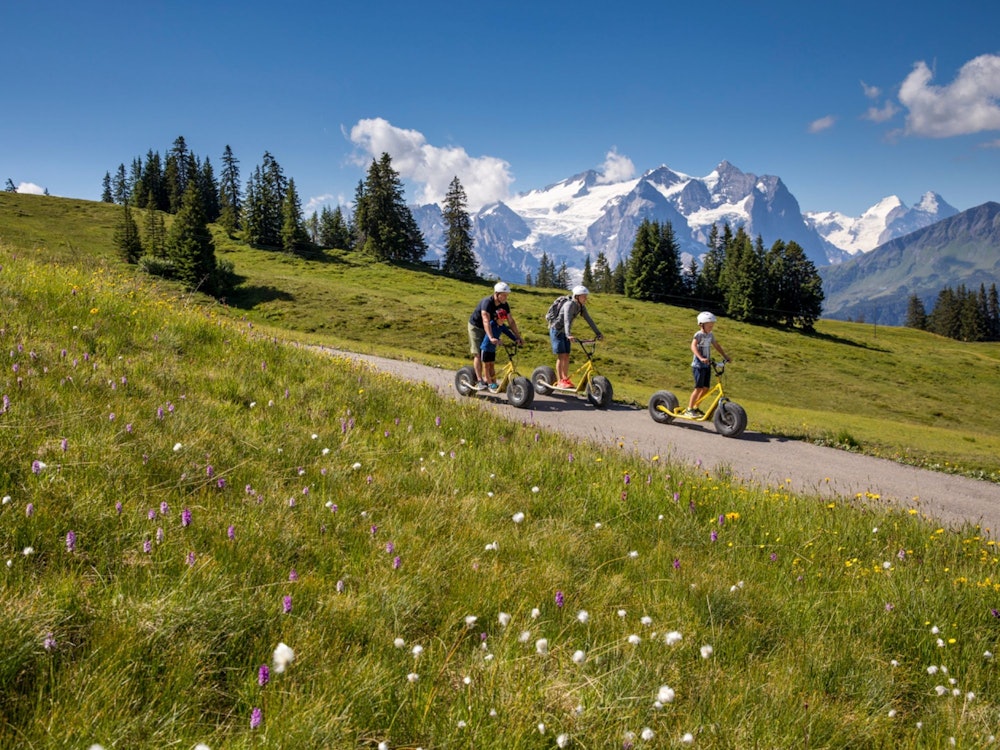 Monster-Cycles_2_by_davidbirri_web