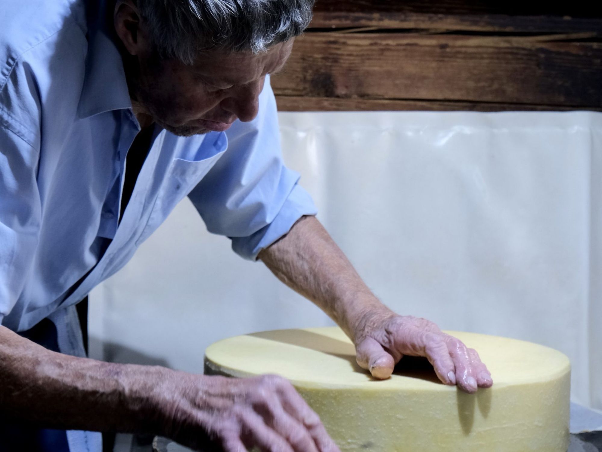 مزرعة جبن تقليدية في جستل وRougemont برحلة مشي