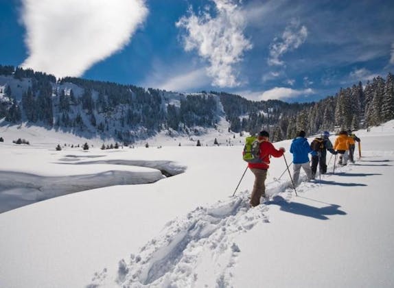 Wildlife experience on snowshoes at Flumserberg
