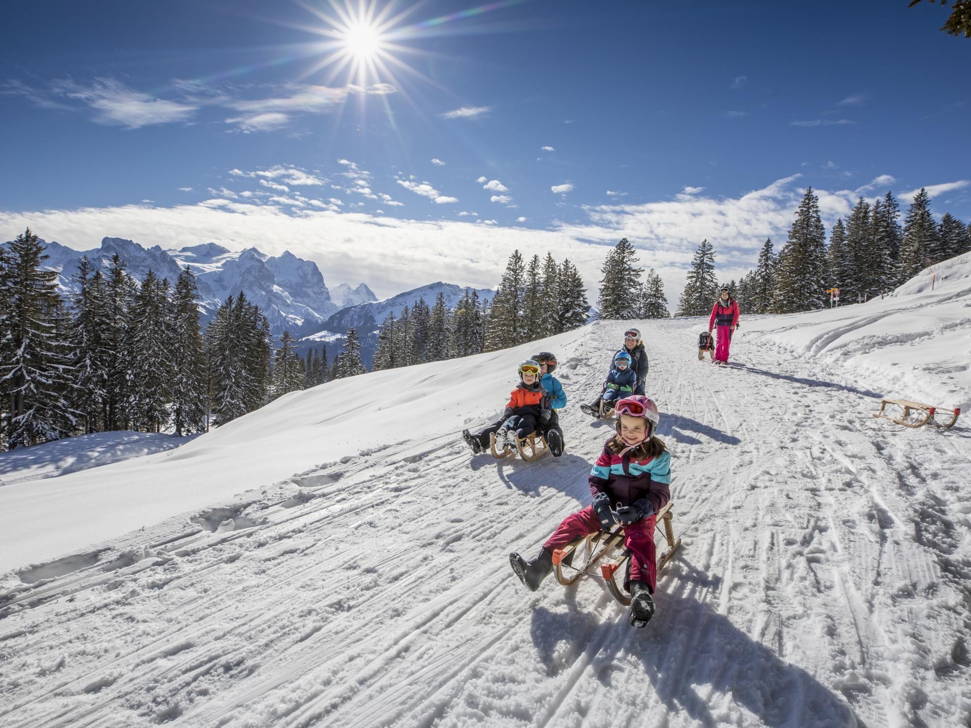 Tageskarte Schlitteln Meiringen Hasliberg