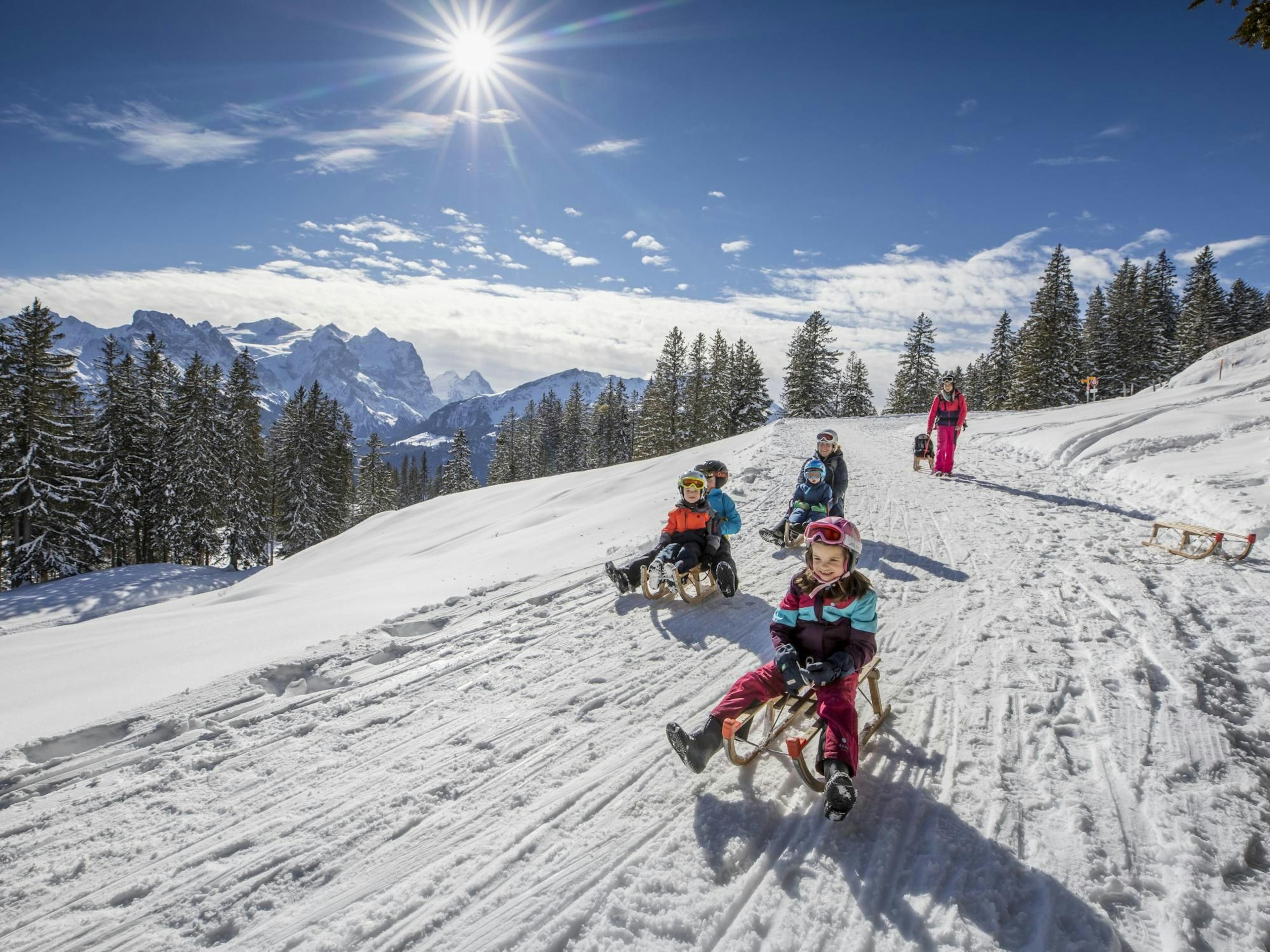 Tageskarte Schlitteln Meiringen Hasliberg
