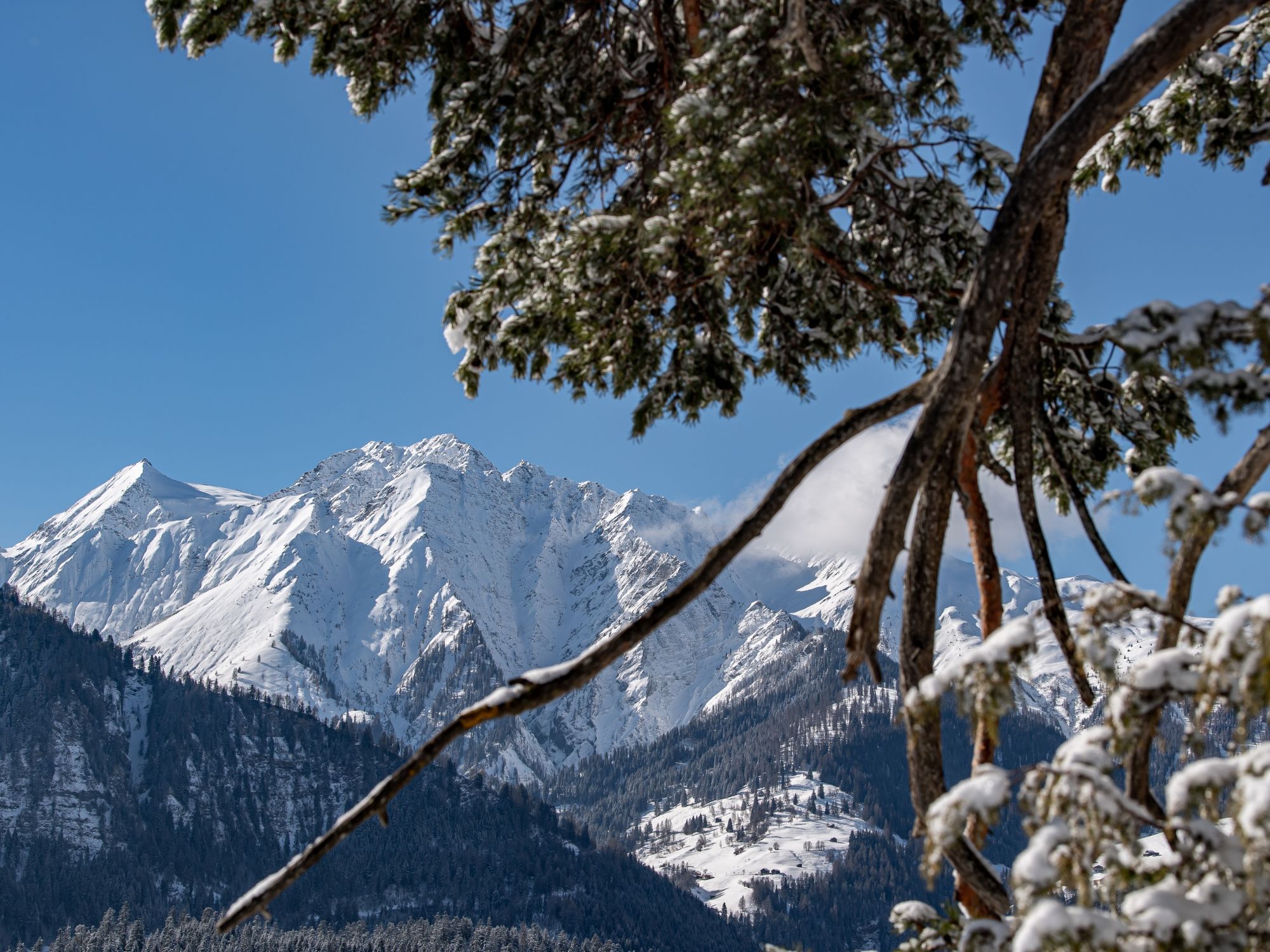 FLF_AMMANN_20190420-30