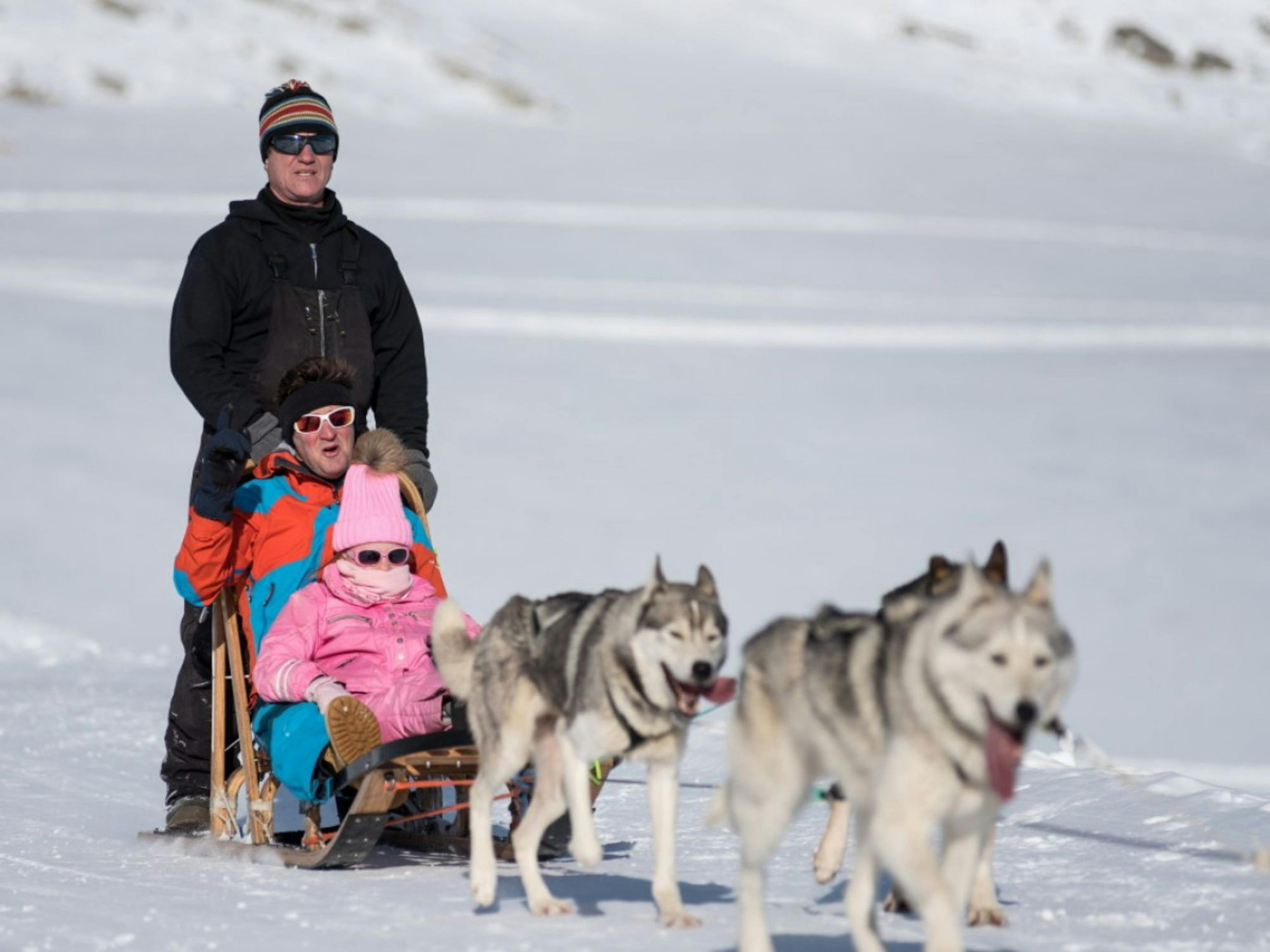 Aventure nordique en traîneau à chiens sur le glacier Plaine Morte