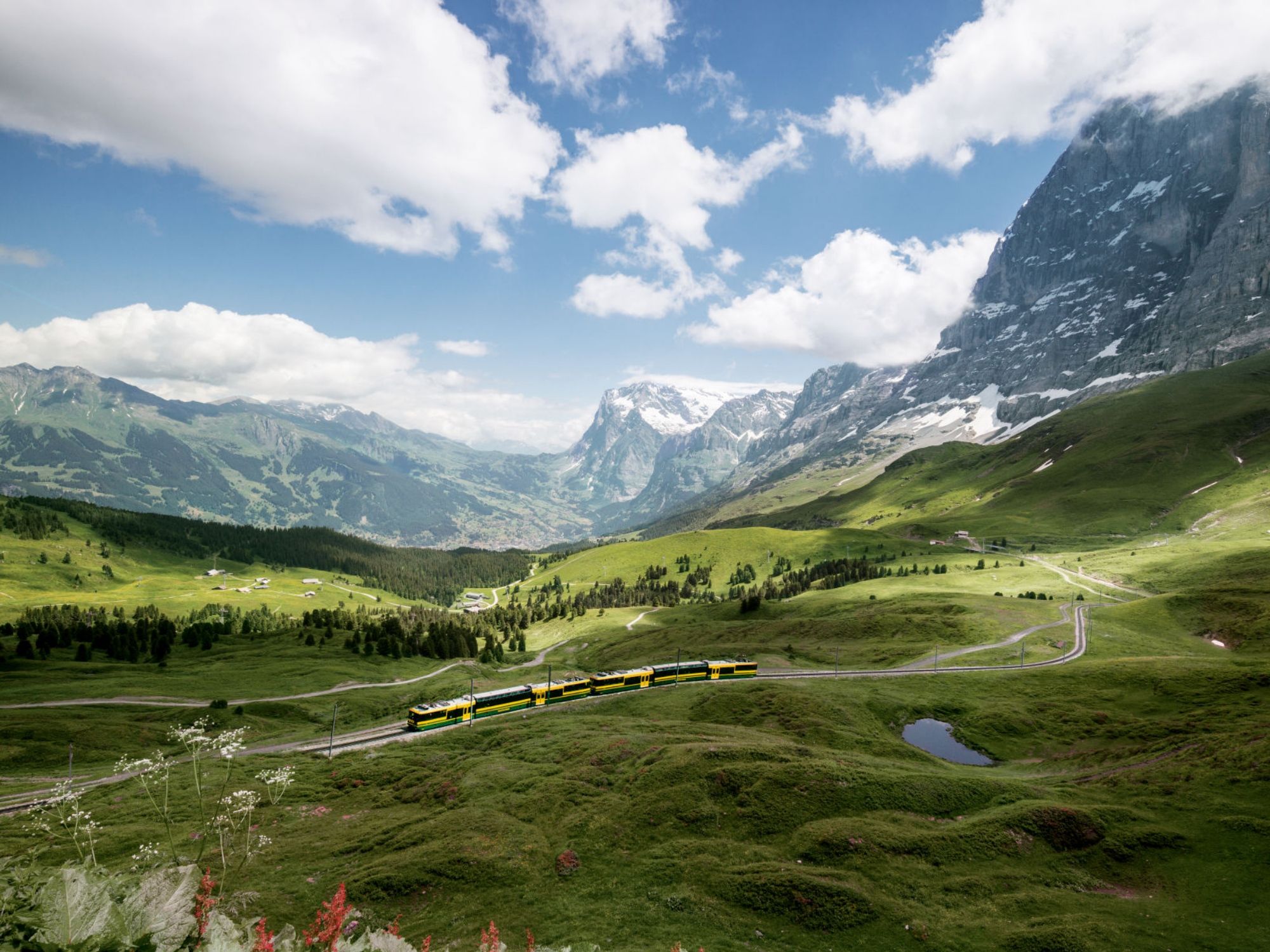 Bilety na pociąg Grindelwald - Kleine Scheidegg Wengernalpbahn