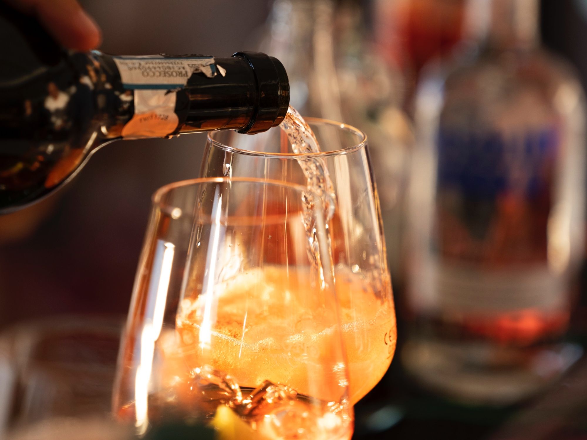 Паромная прогулка по озеру Цуг 2022 Сальса 065