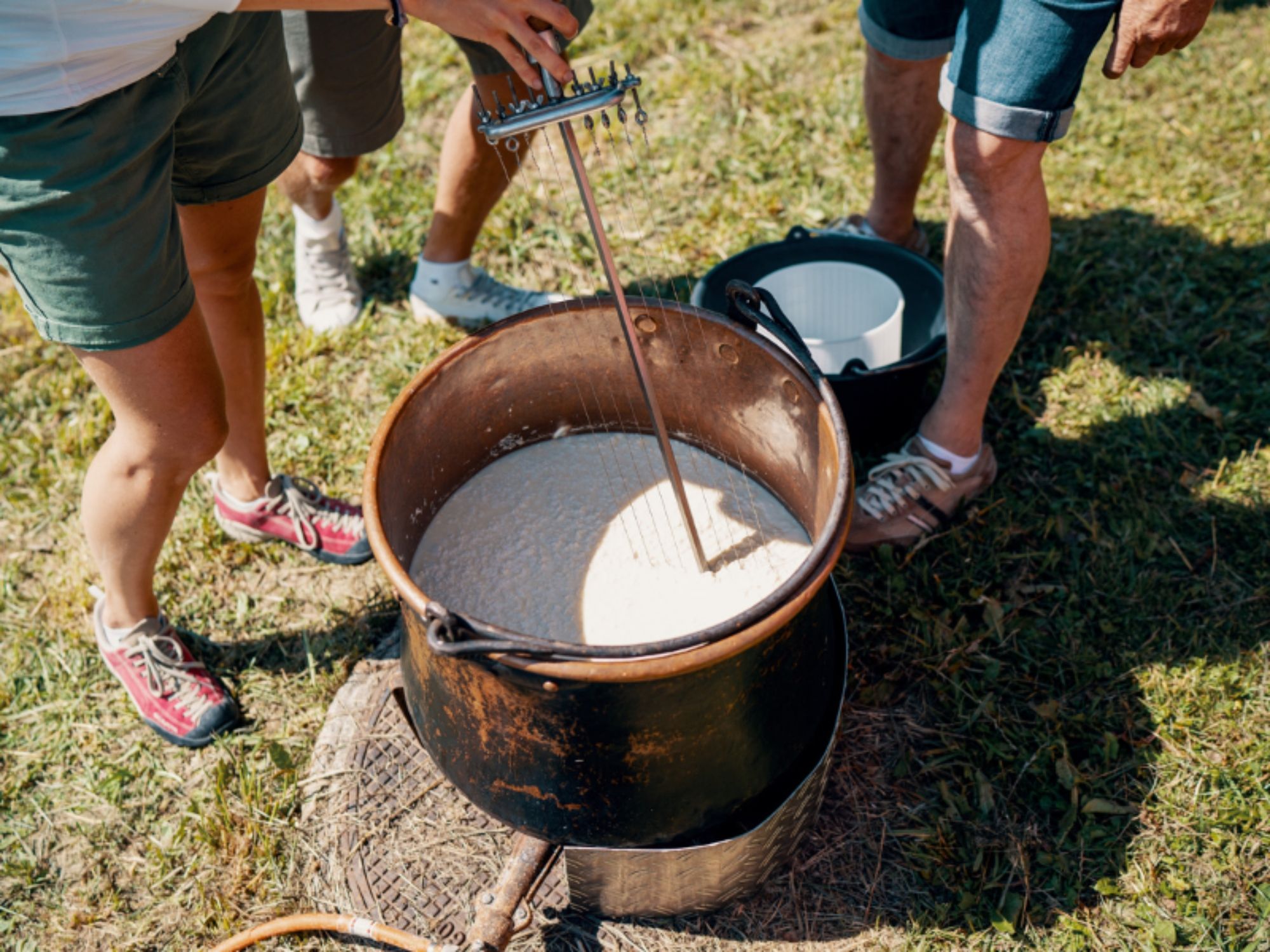 TDS00020015573363278_tamanho_800_0 (1)