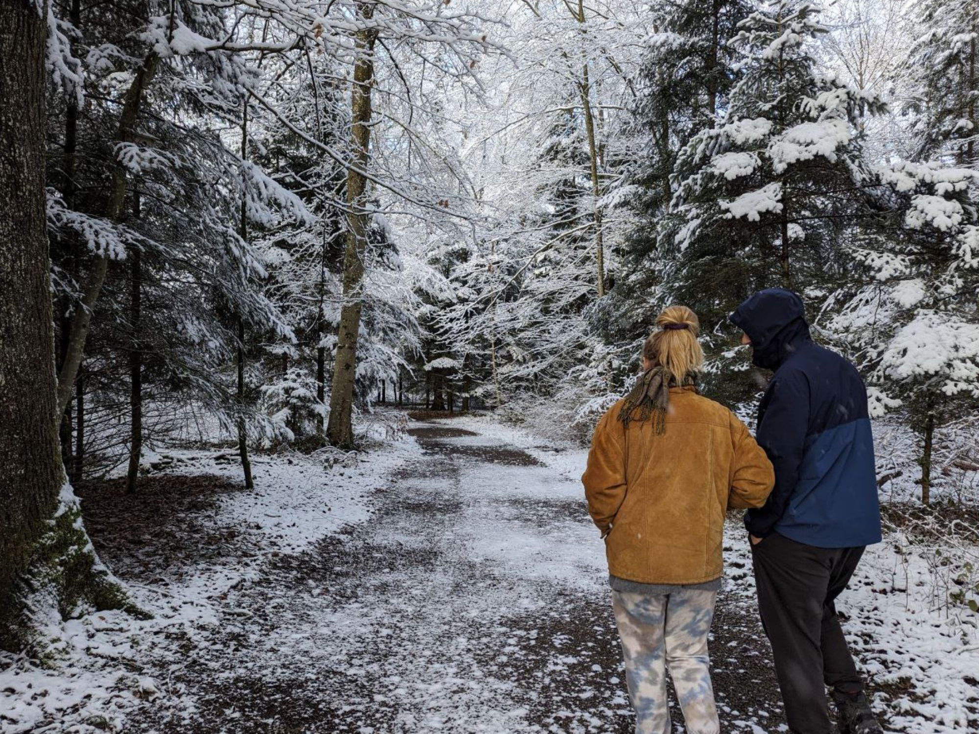 photo_2026-01-05_19-32-40