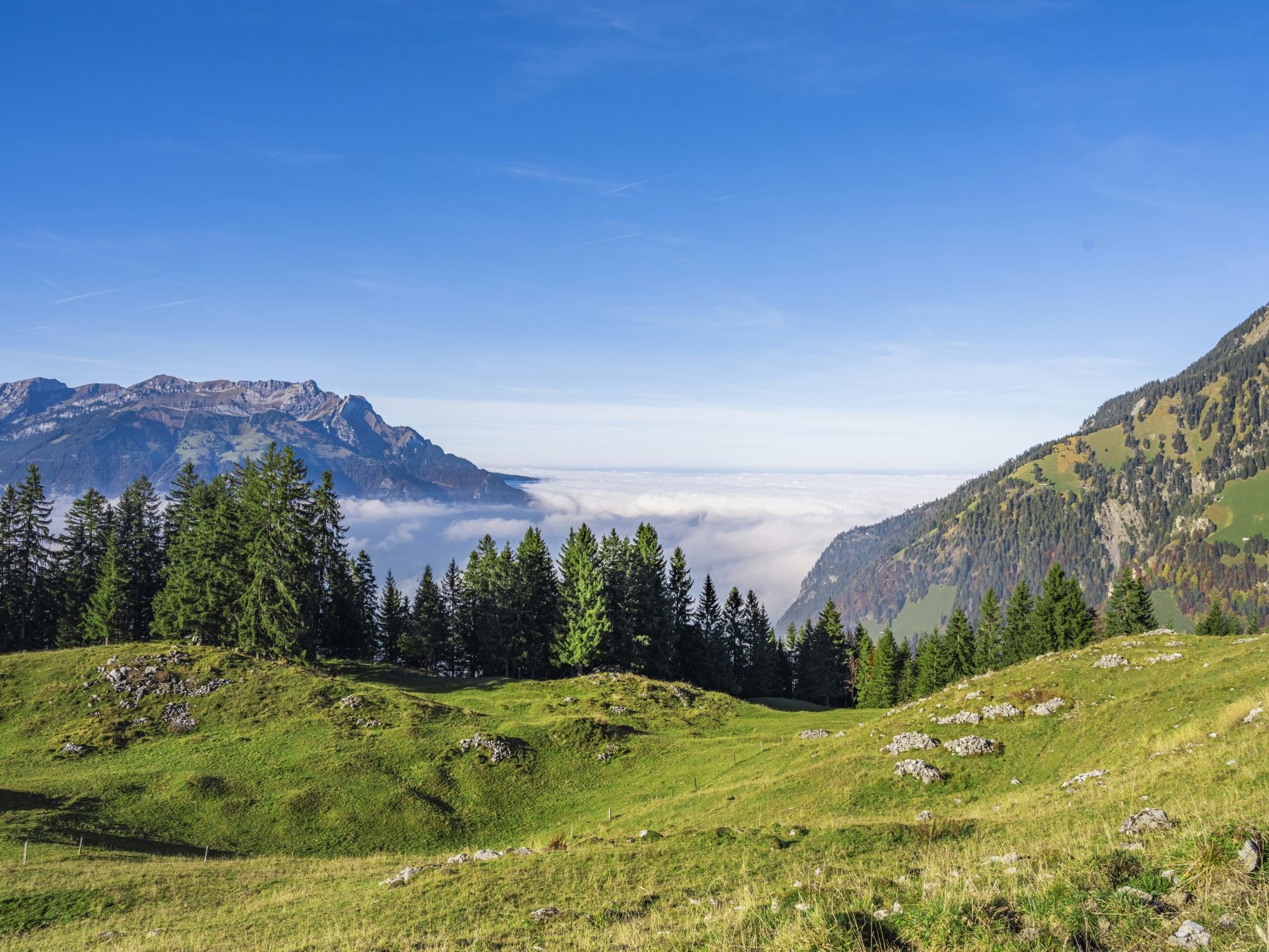 03 Dallenwil2 Unsplash