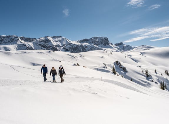 พาสเดินป่าหน้าหนาวที่เบเทลแบร์ก