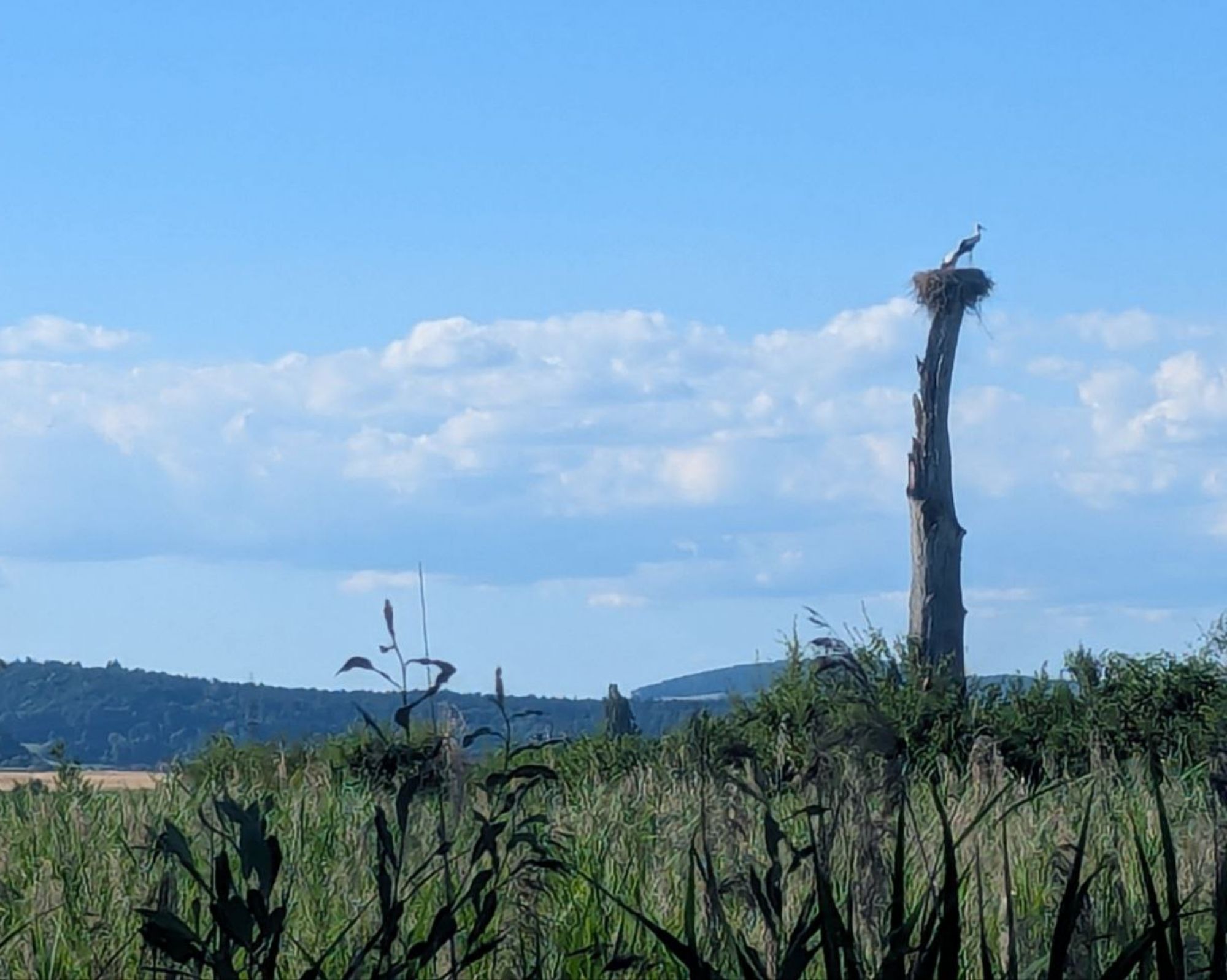 photo_10_2026-01-05_19-15-24