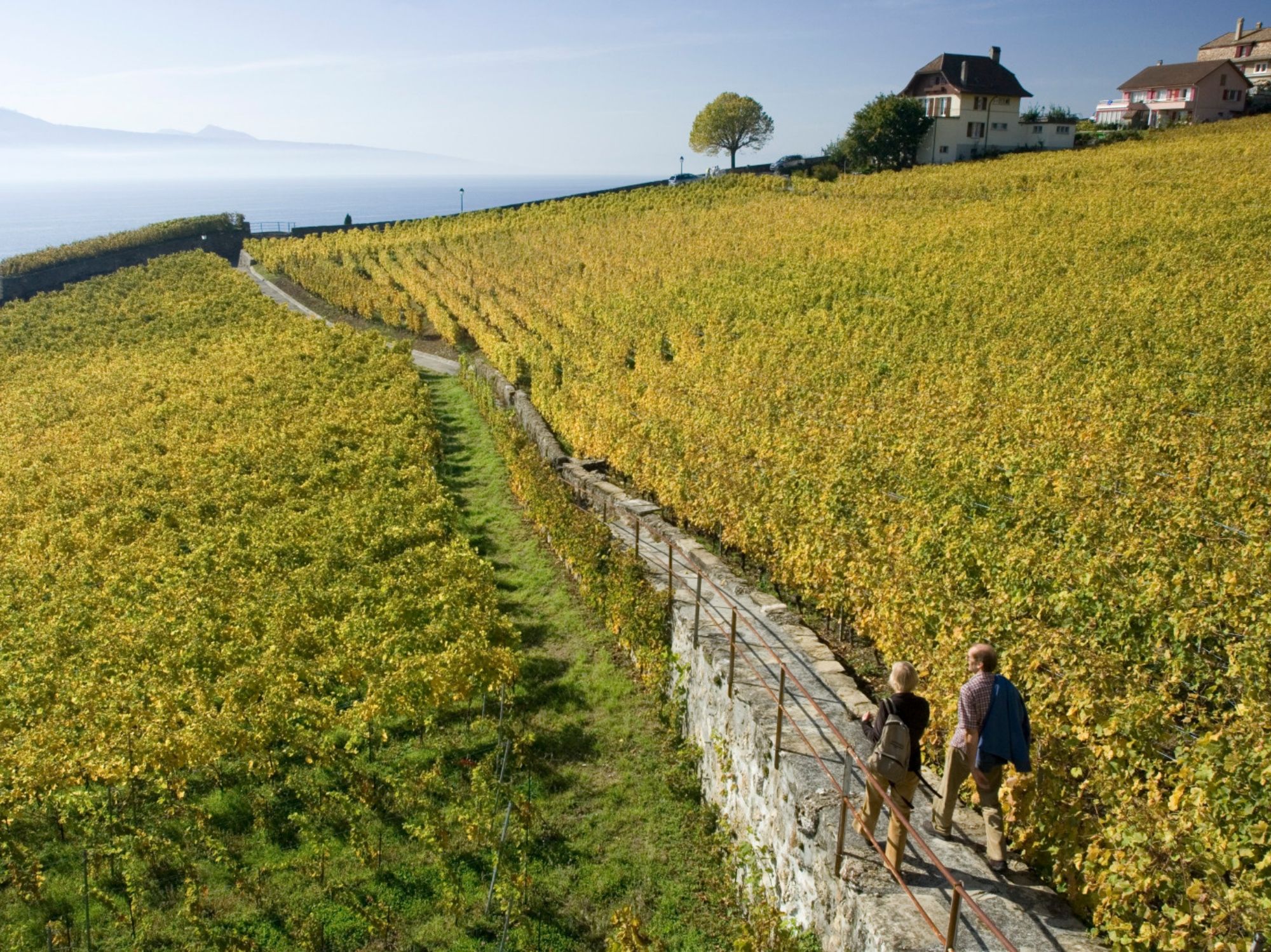 Chemin Lavaux