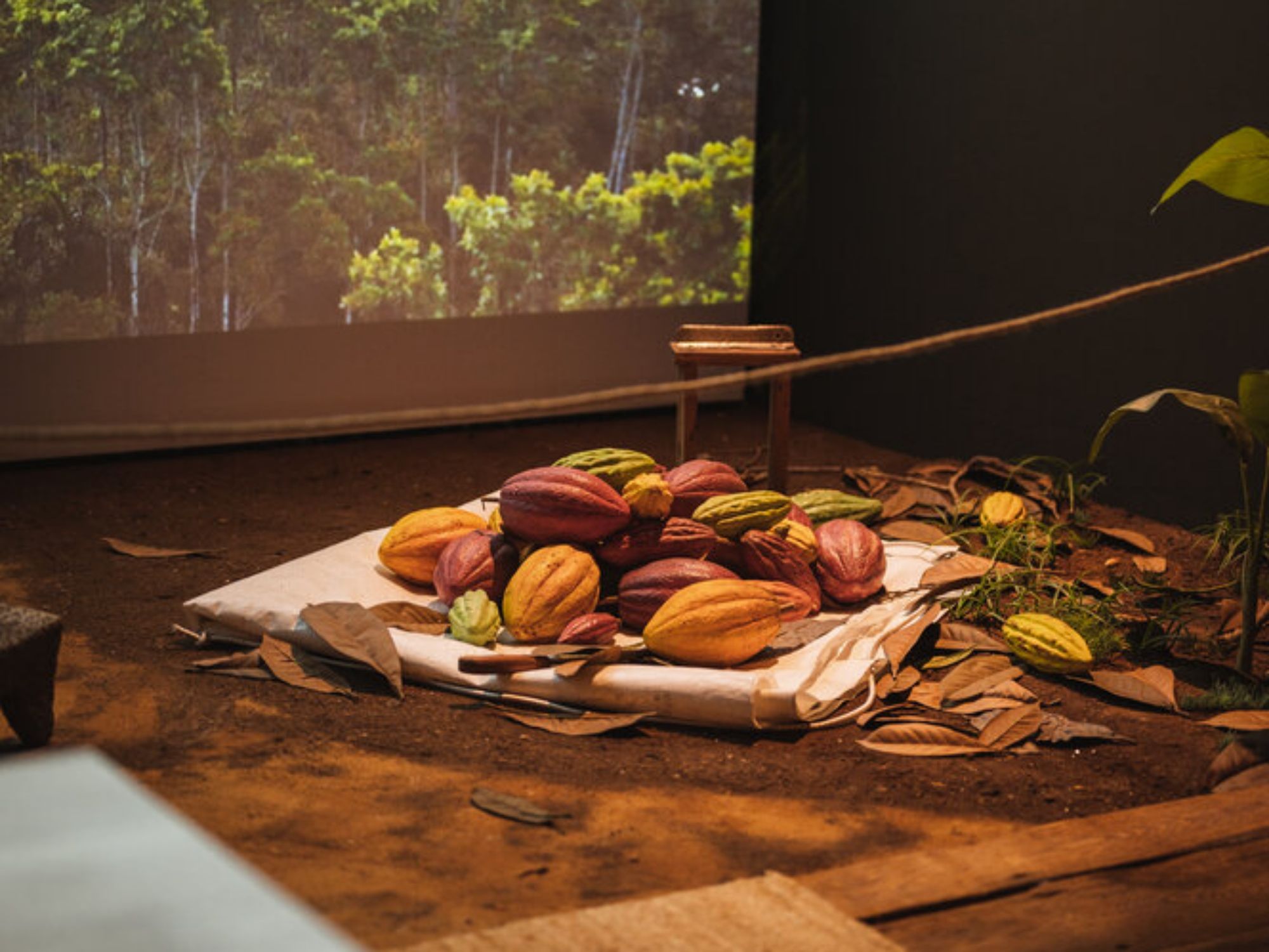 Läderach之家_Bilten (129)