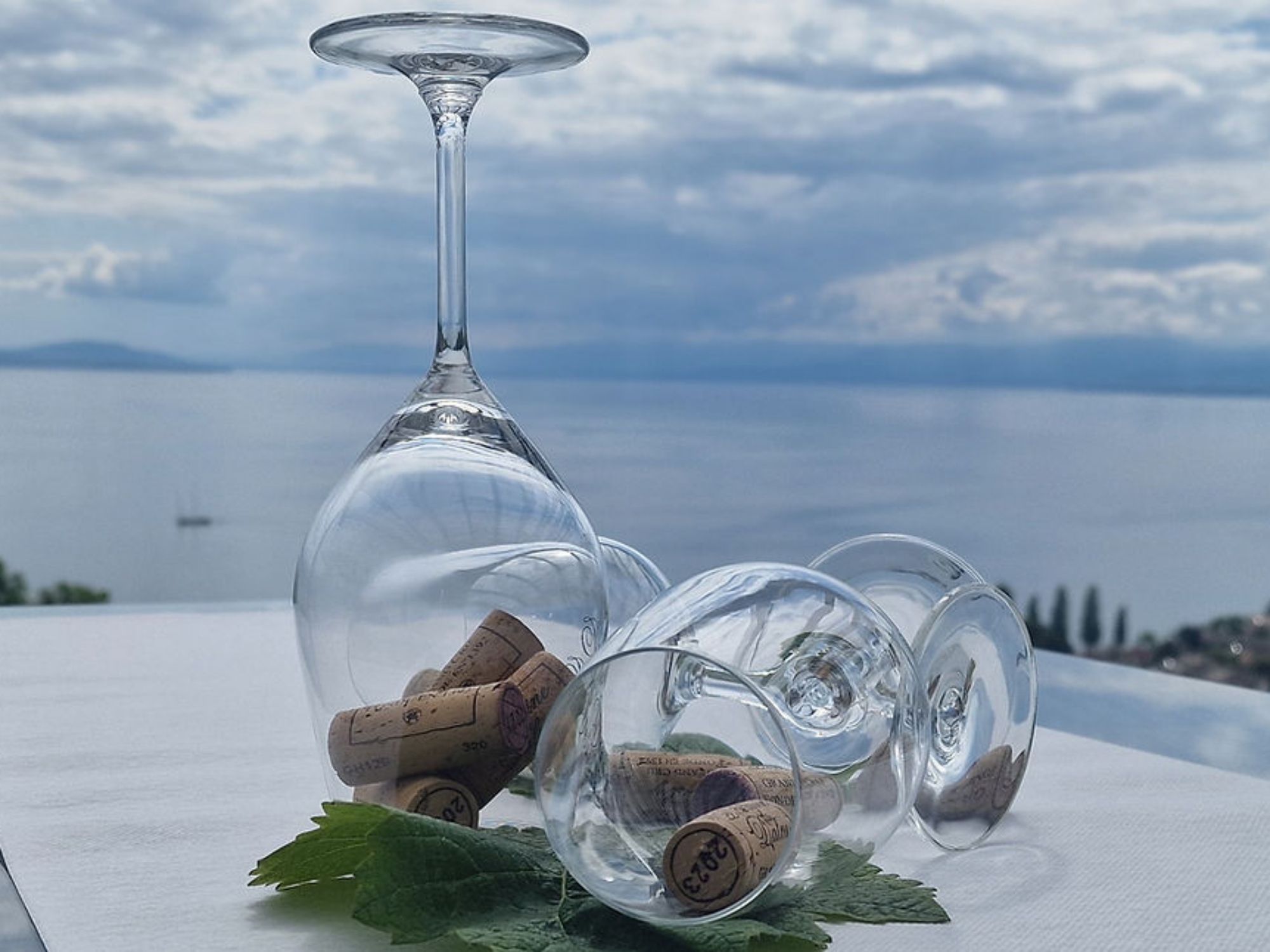 Atelie i shijimit të verërave