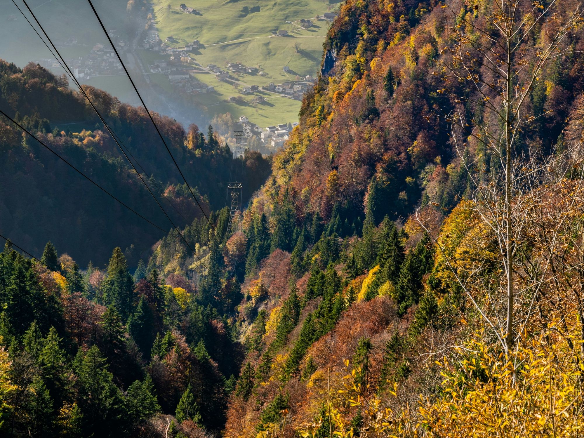 تذكرة التلفريك نيدرريكنباخ من داللويل