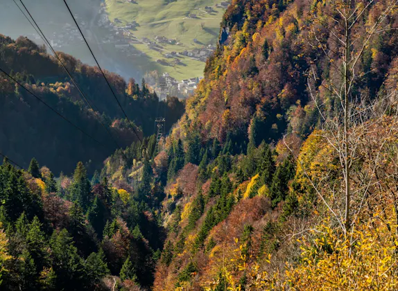 Ticket Téléphérique Niederrickenbach depuis Dallenwil