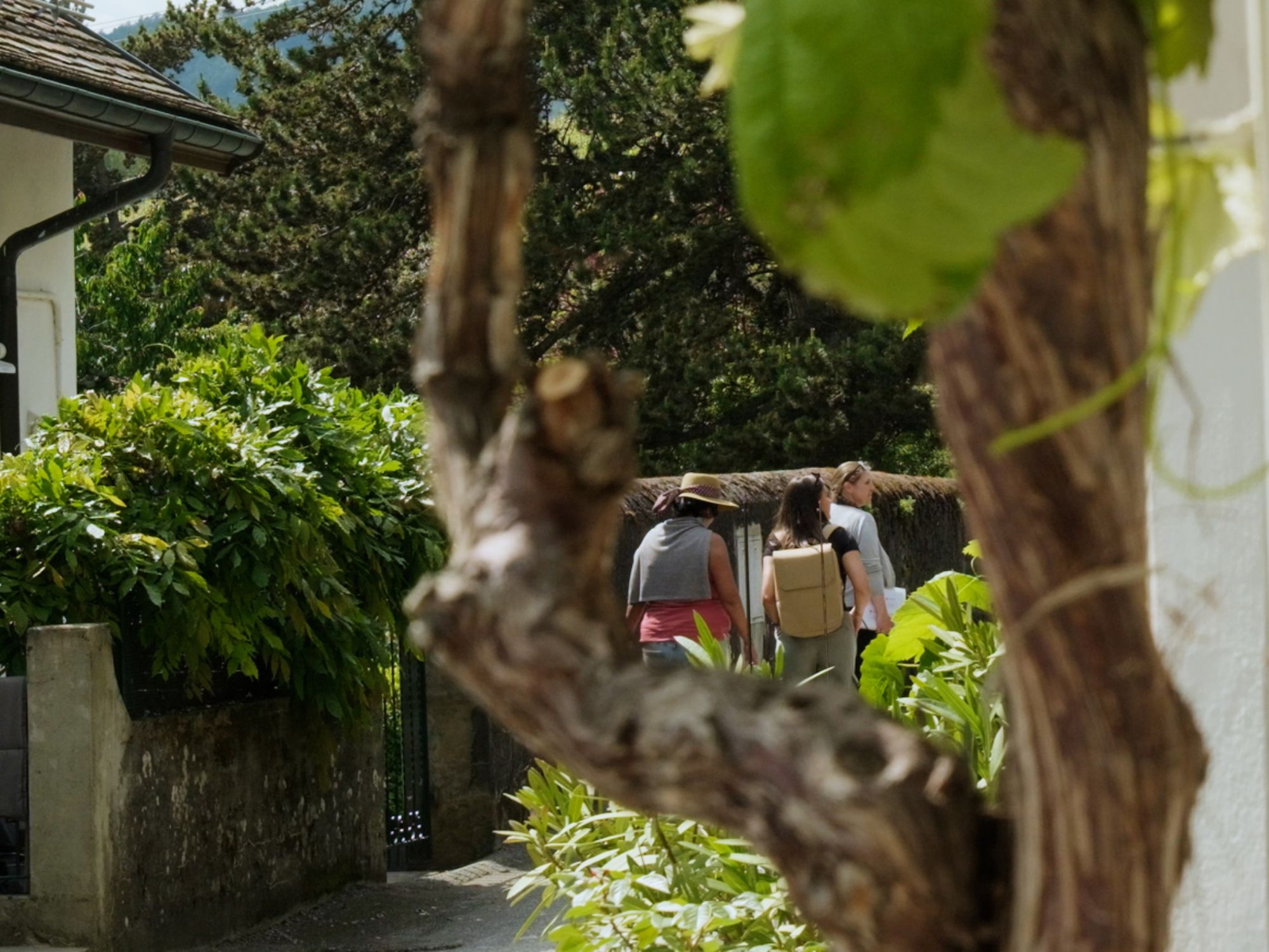 240516_MRT-4.00_00_09_08.Okamžik005