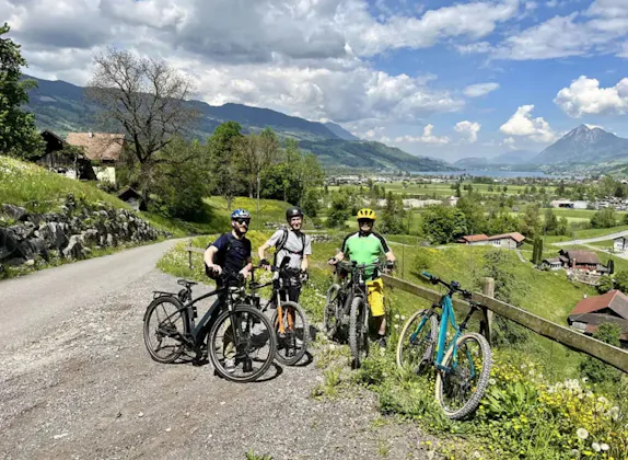Passeio Privado de E-Bike por 4 Lagos com Viagem de Barco a partir de Lucerna