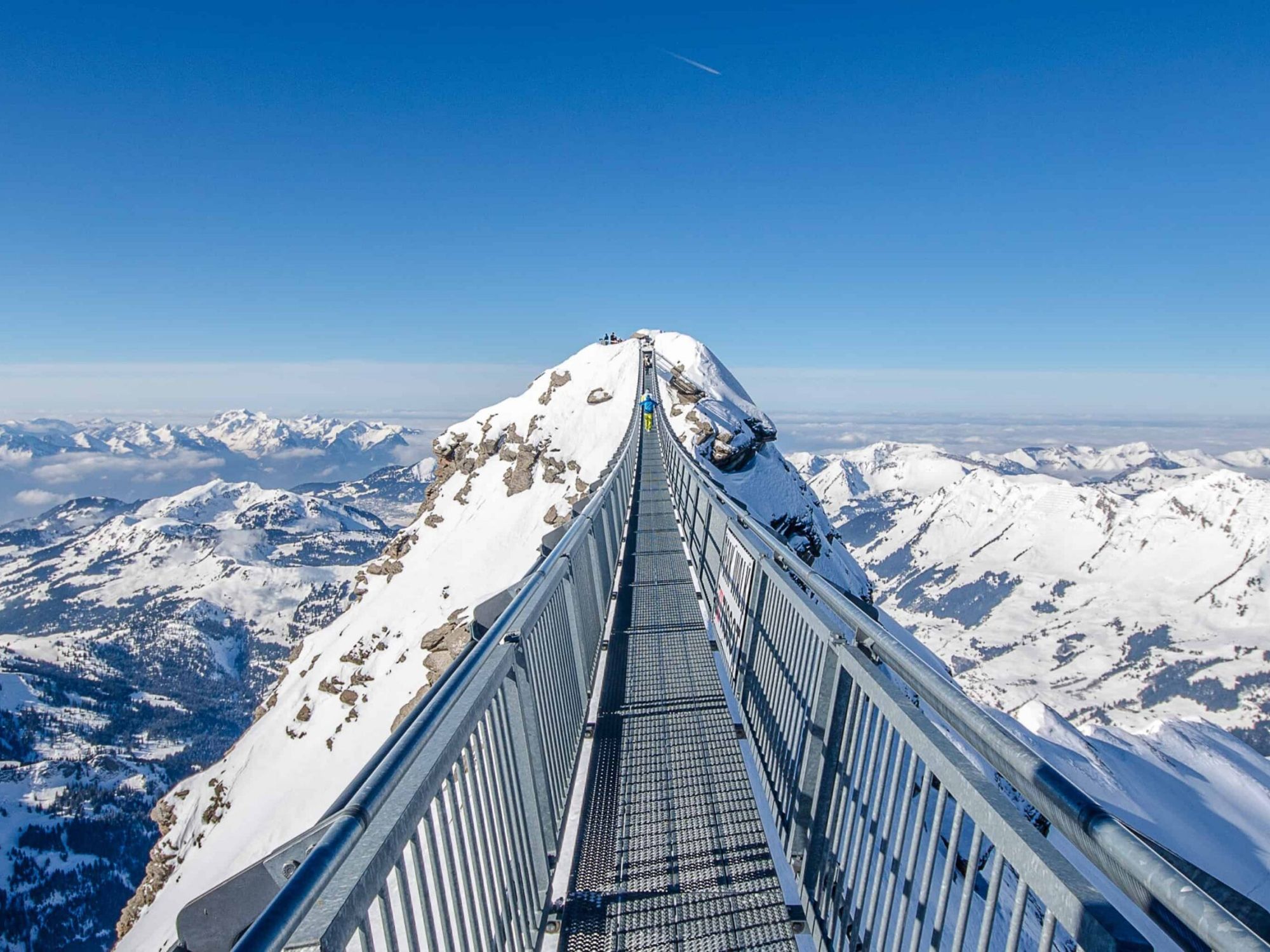 Ab Gstaad: Privater Tagesausflug Glacier 3000, Montreux, Vevey