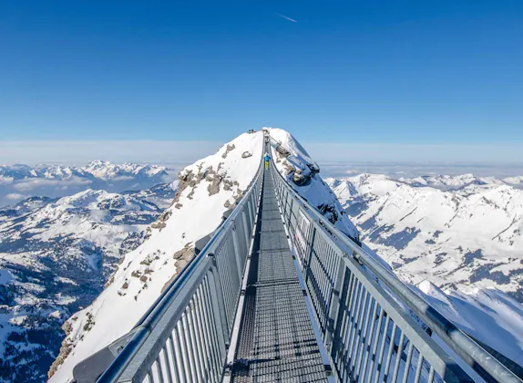 Ab Gstaad: Privater Tagesausflug Glacier 3000, Montreux, Vevey