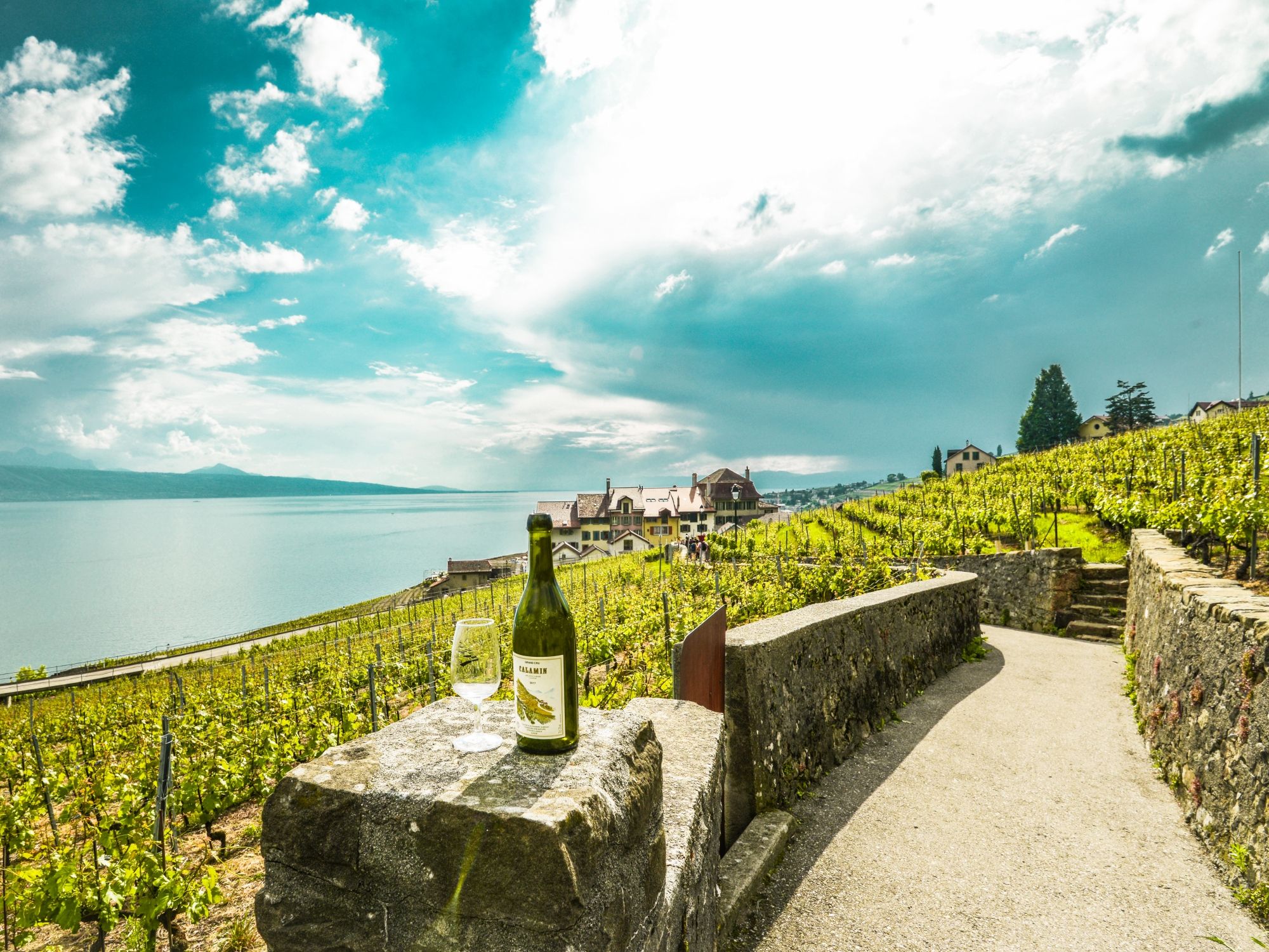Lavaux