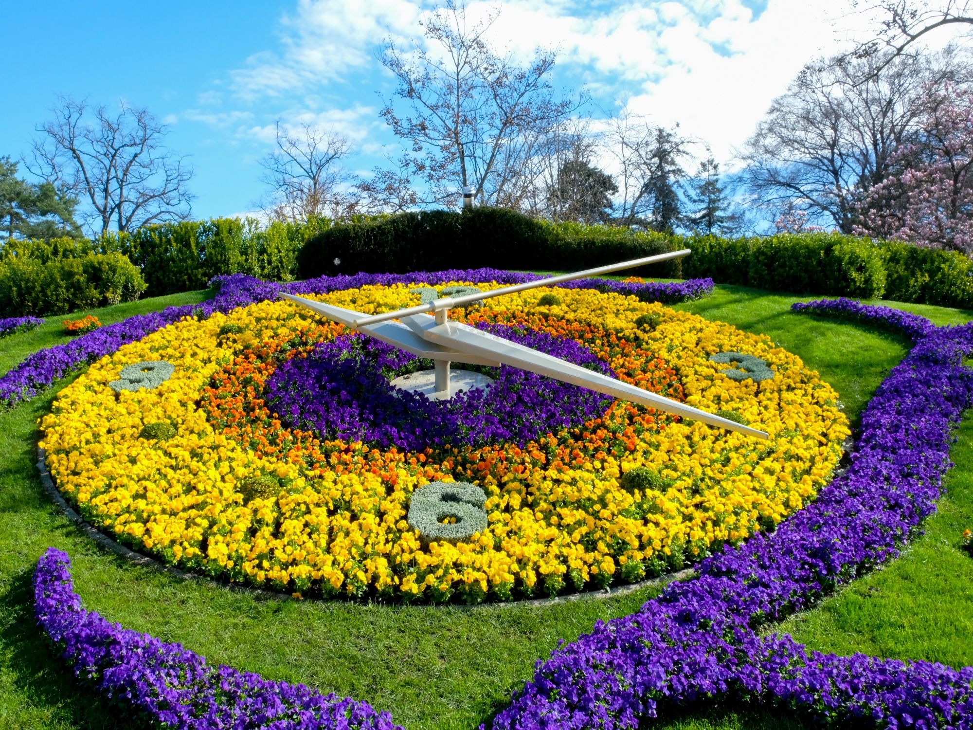 Квіткова година