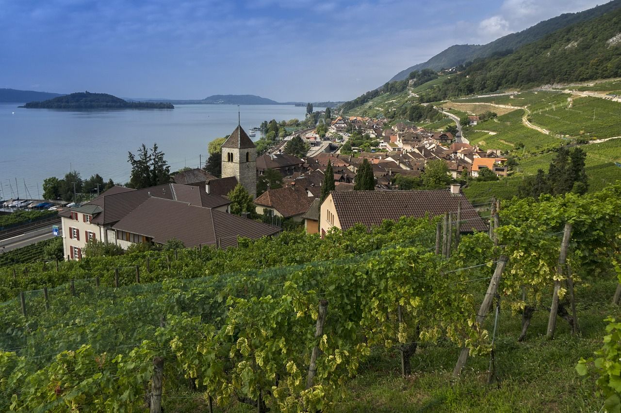 vineyard-bielersee-pixabay