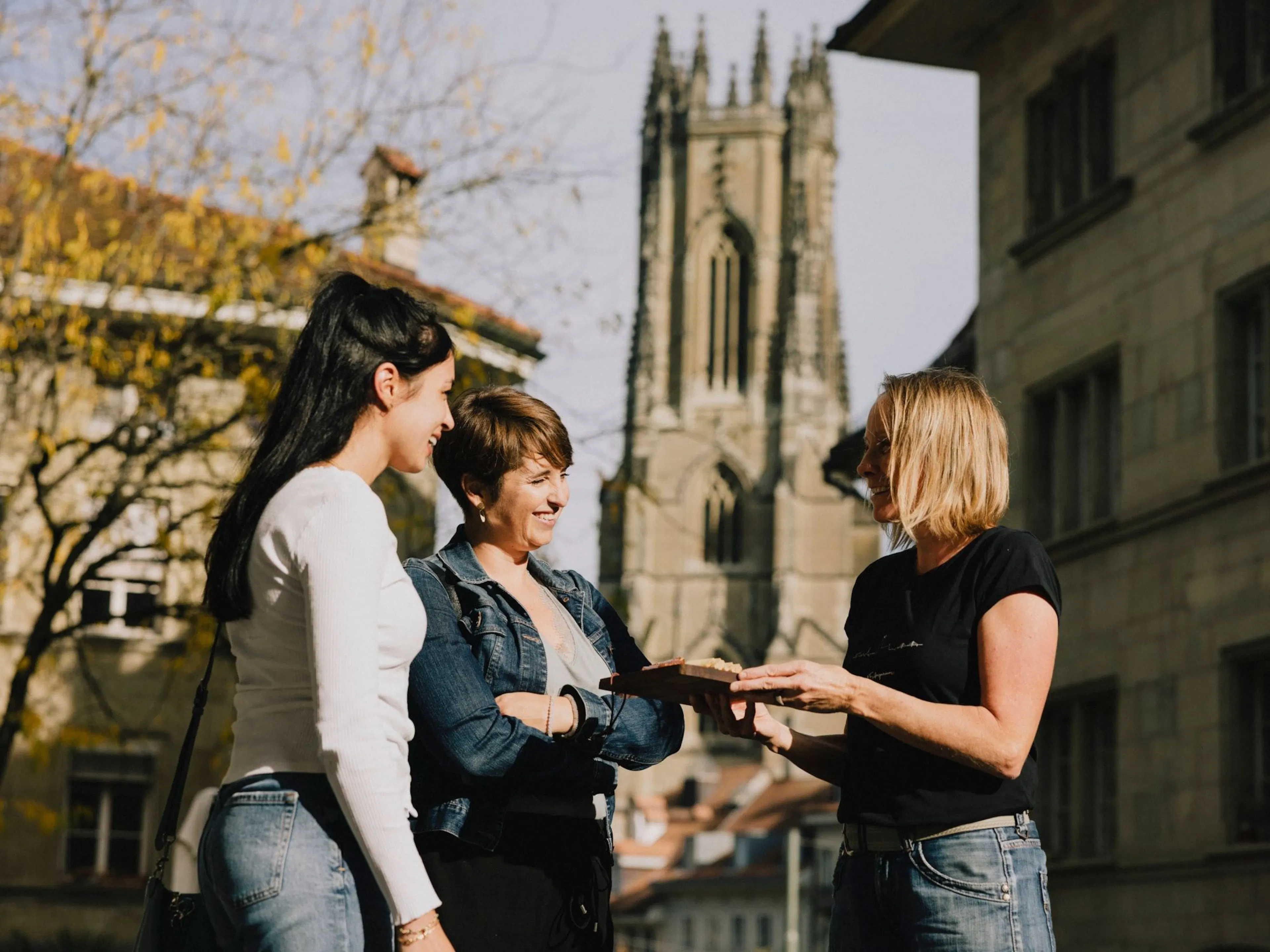 फ्रिबोर्ग की पुरानी शहर की सार्वजनिक यात्रा
