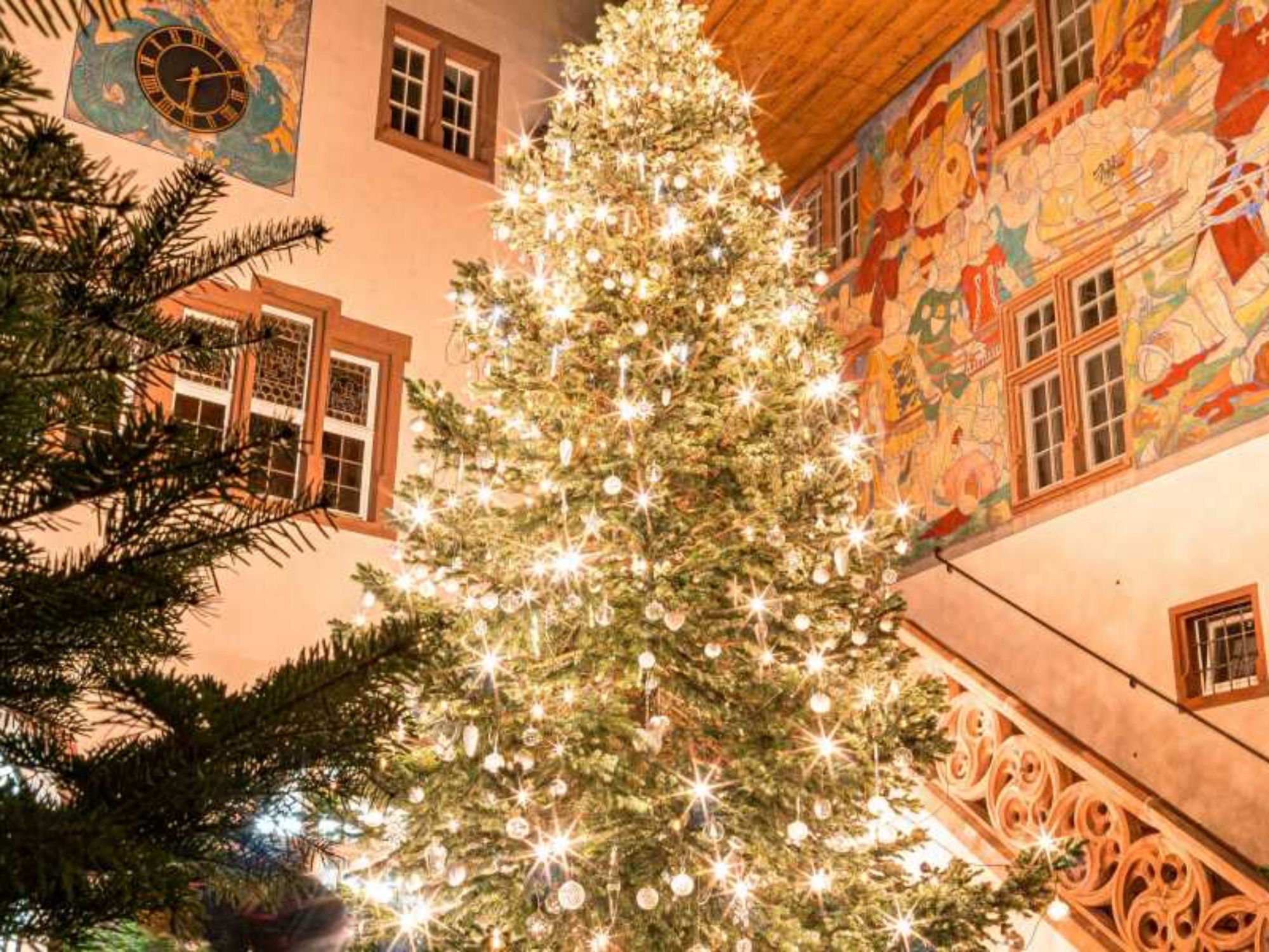 900x600-1-50-d5480717a894796d82a83ae2725902ed