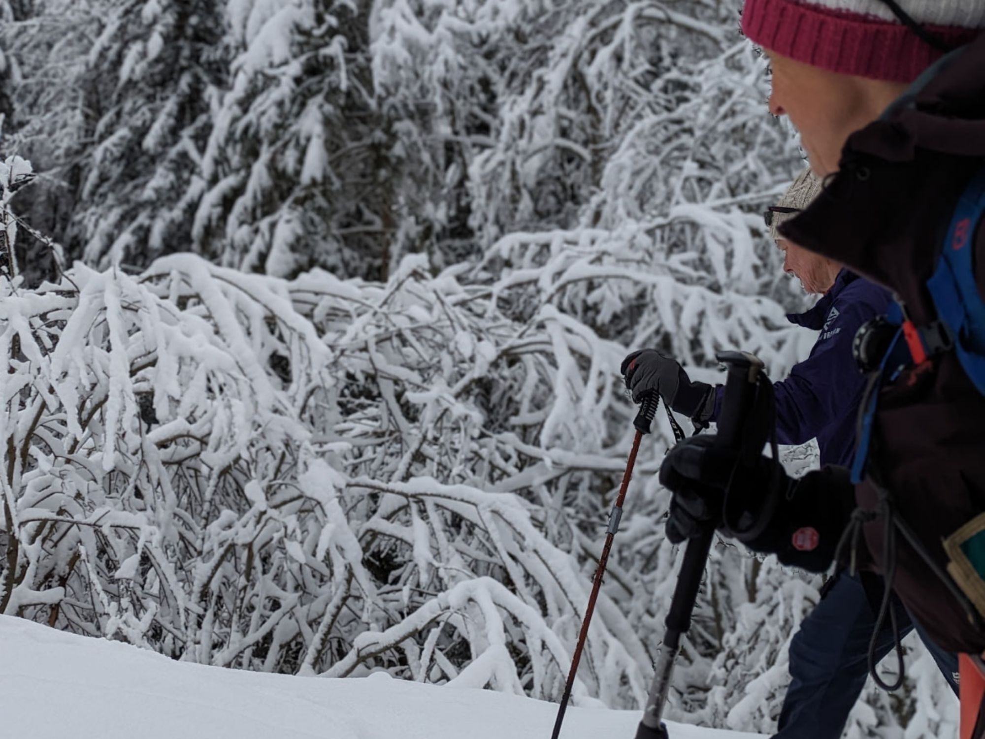 snesko-gruppe-oplevelse-champery