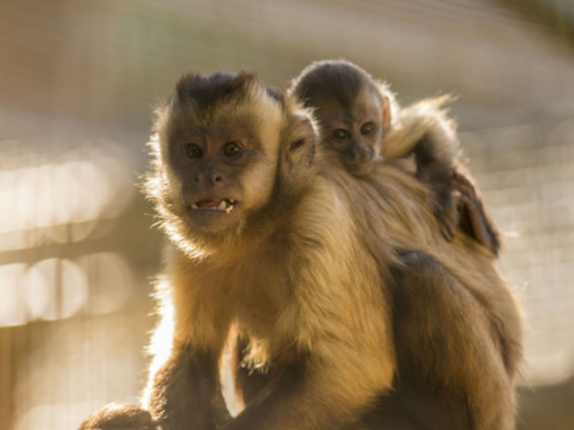 stor-billet-billede-6516848f48b10132421146-cropped600-400