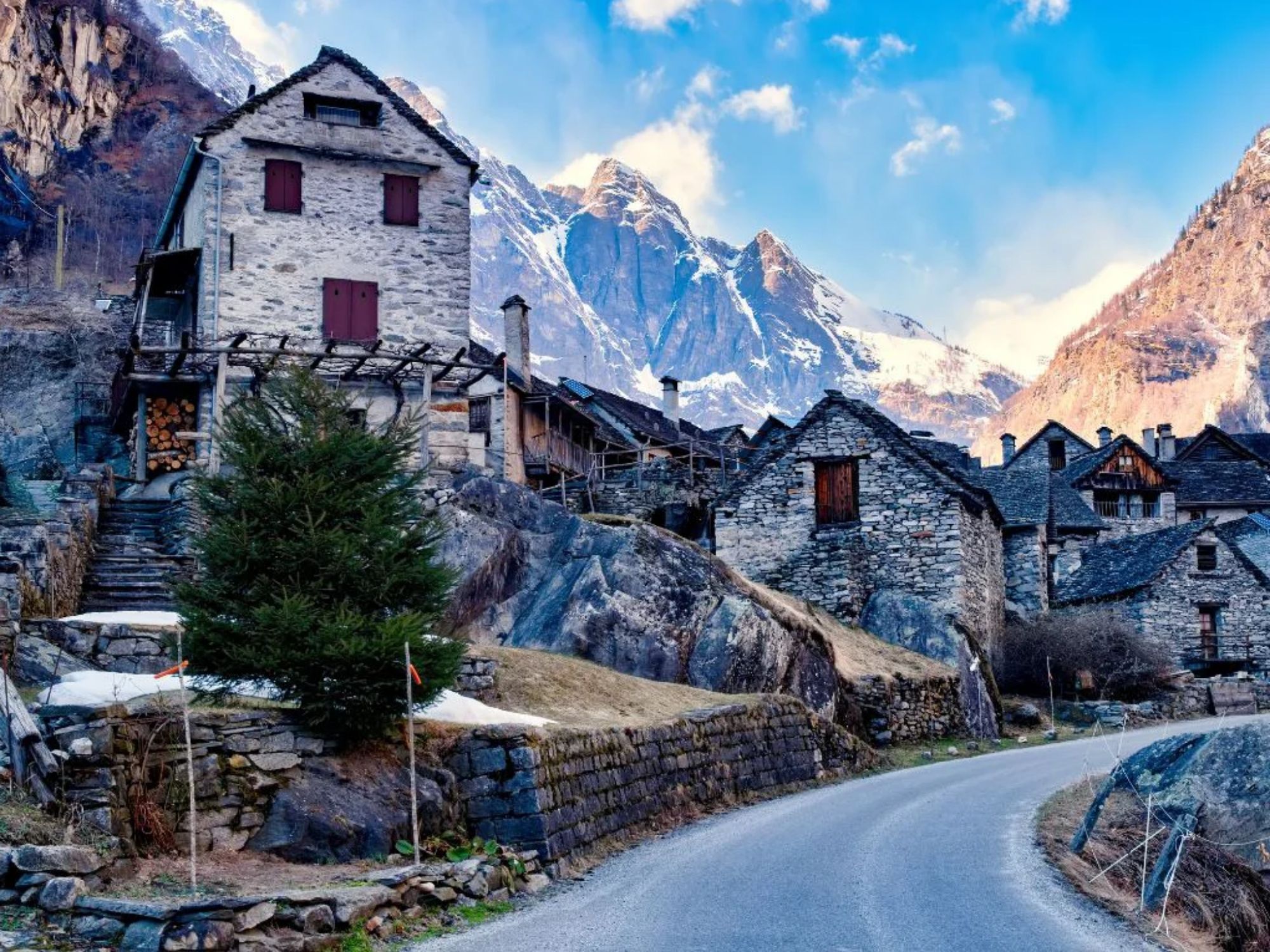 batch_maggia6 (1) копия