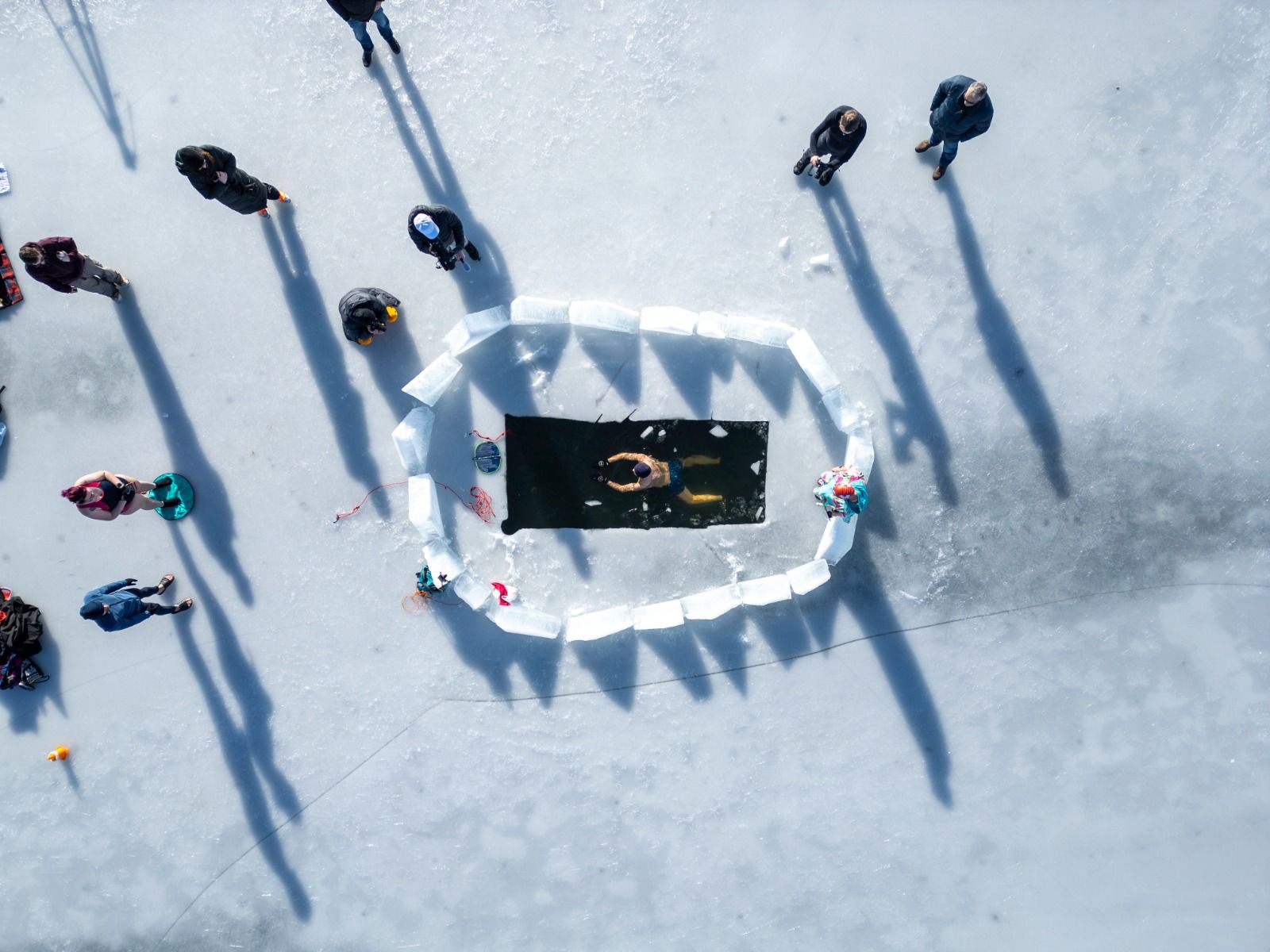 Jeannette Stangier - Bors