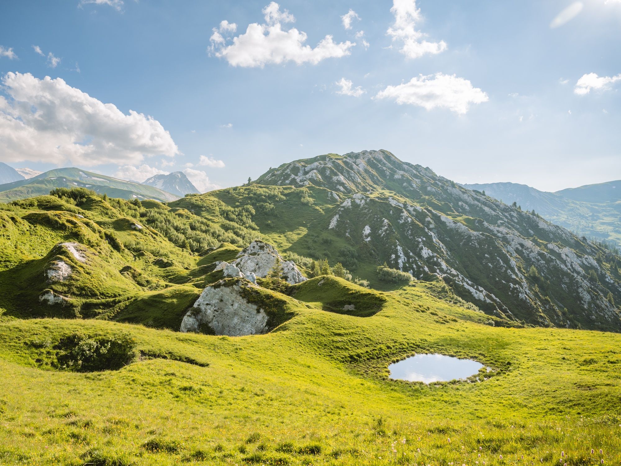 Hogedichtetag Gryden (5)