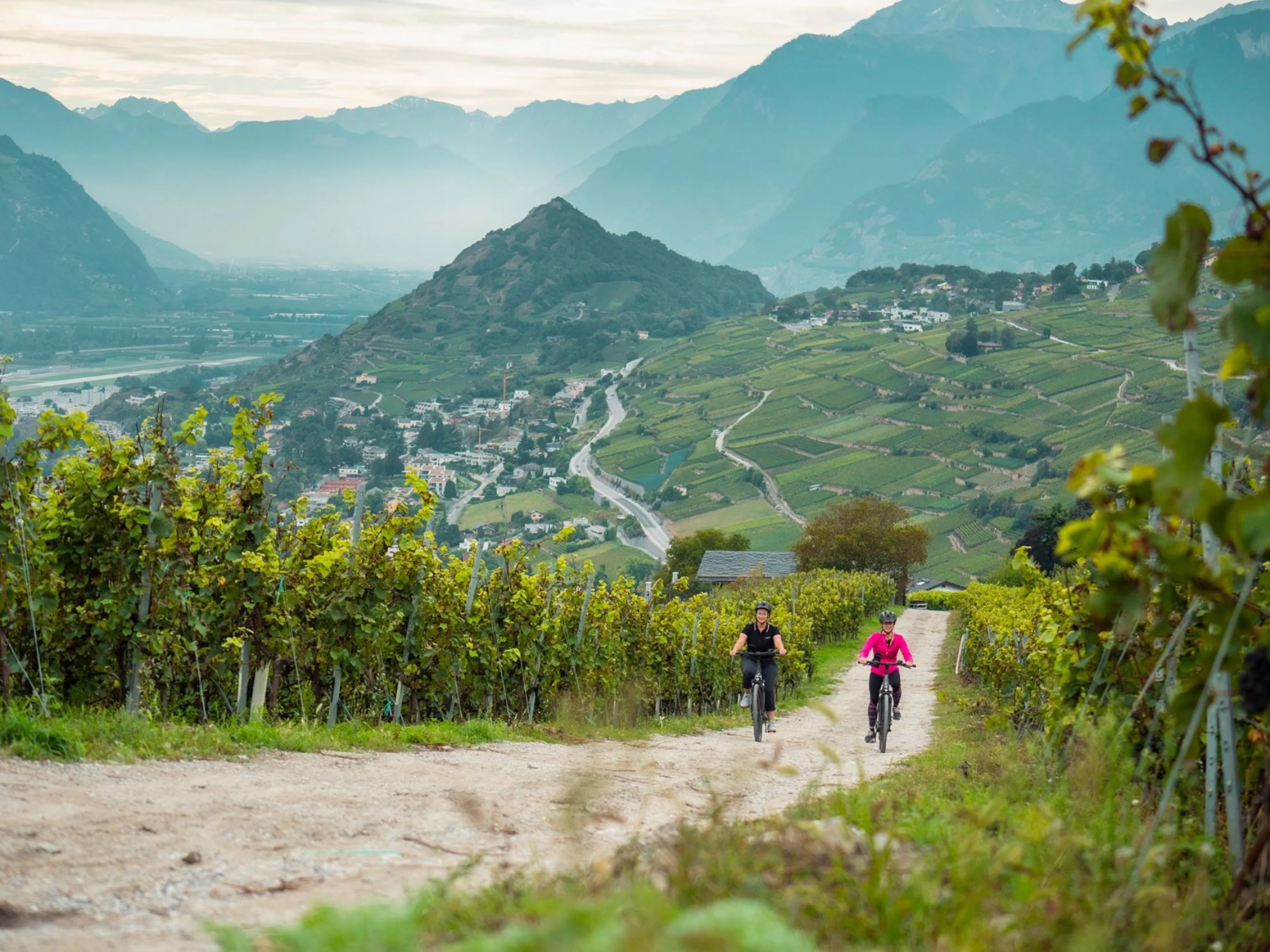 Wijnroute per Fiets 3