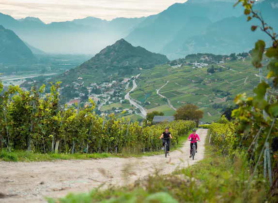 Vinohradnícky výlet na bicykli 3
