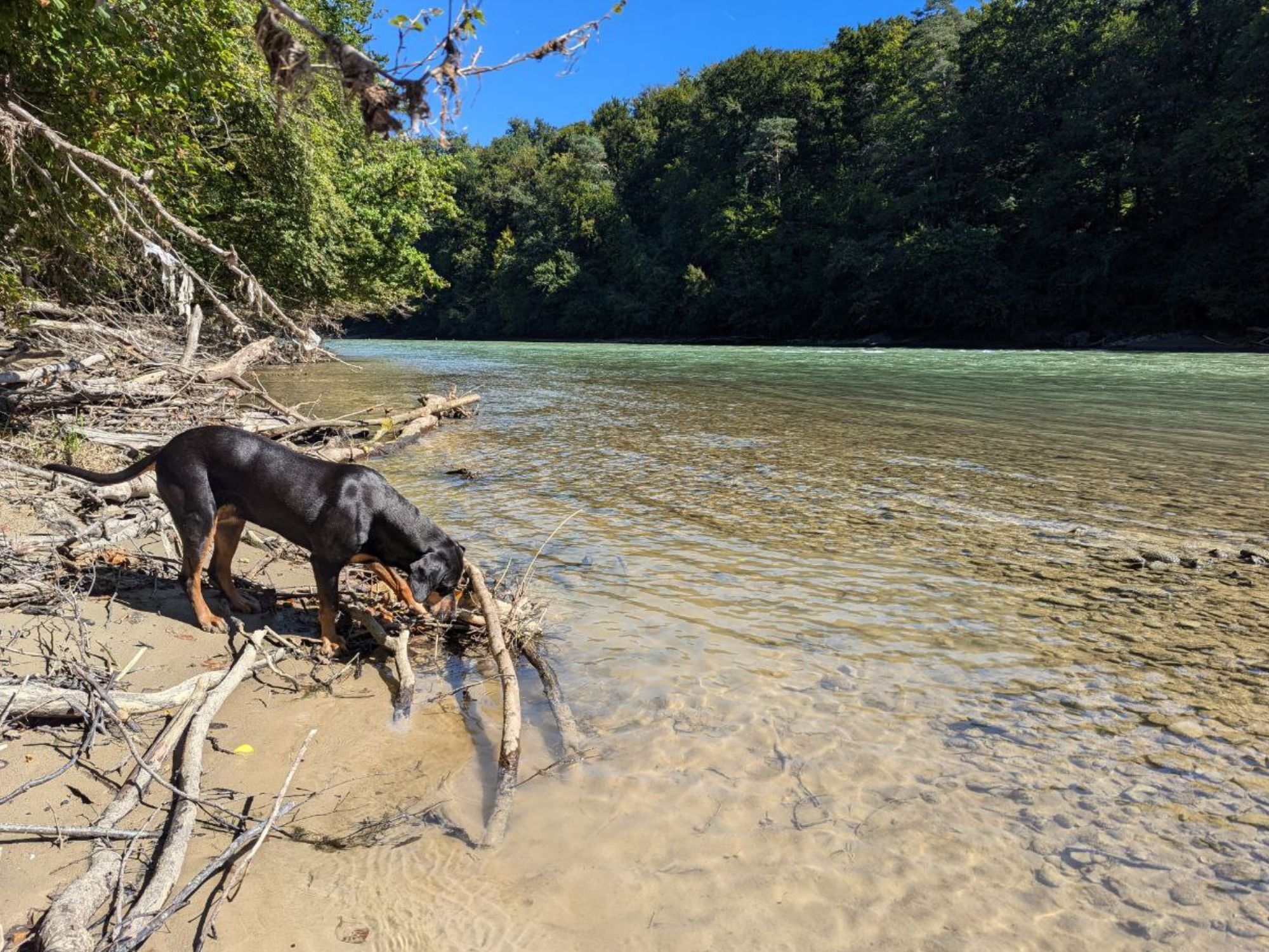 photo_63_2026-01-05_19-15-24