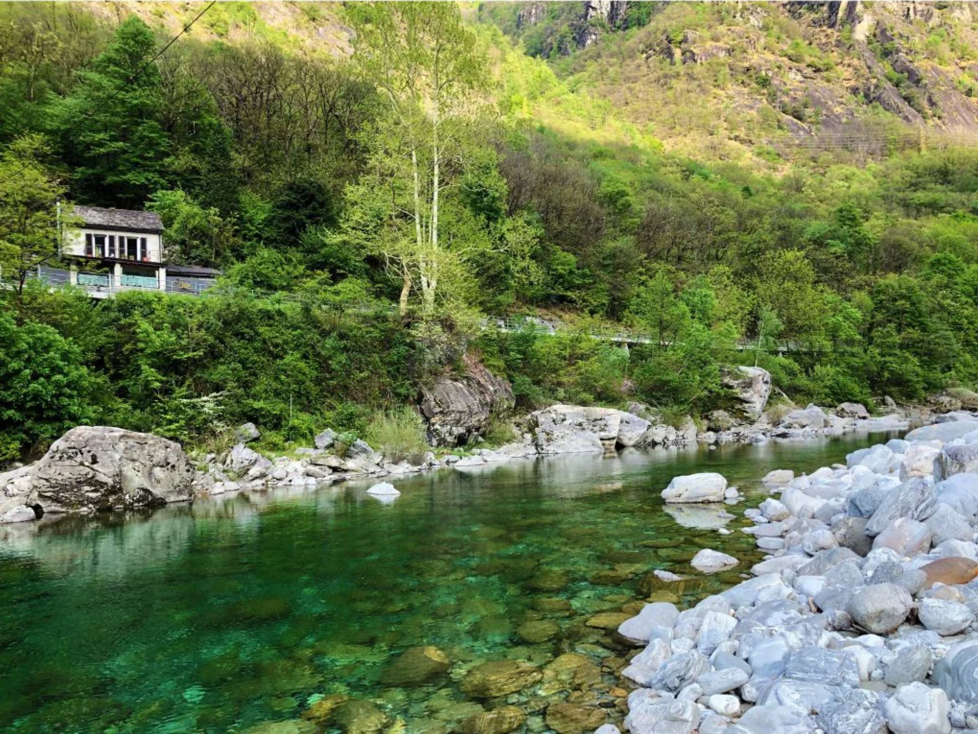 batch_maggia3 (1) копия