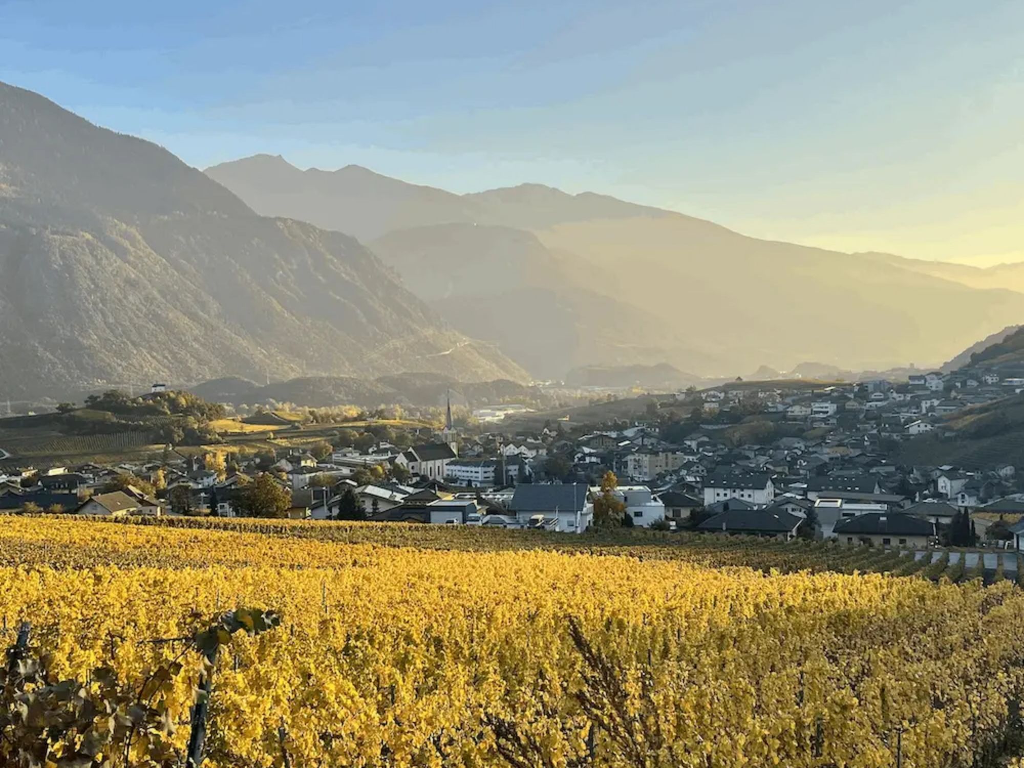 Caminhada do Vinho em Salgesch